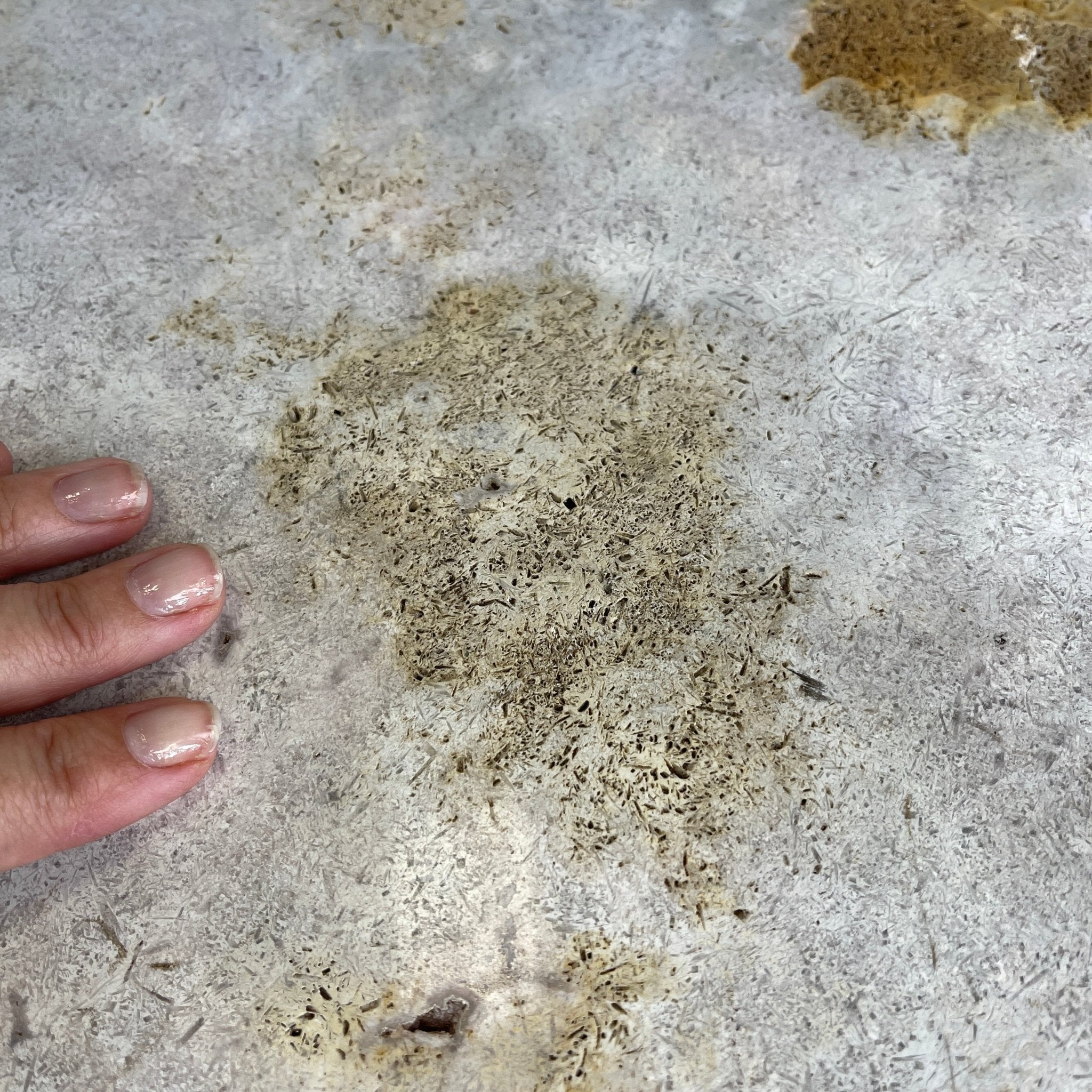 Special Pink Amethyst Dining/Conference Room Table Super Quality, 992.3 lbs & 58.8" long #1380-0001 - Brazil GemsBrazil GemsSpecial Pink Amethyst Dining/Conference Room Table Super Quality, 992.3 lbs & 58.8" long #1380-0001Tables: Dining1380-0001