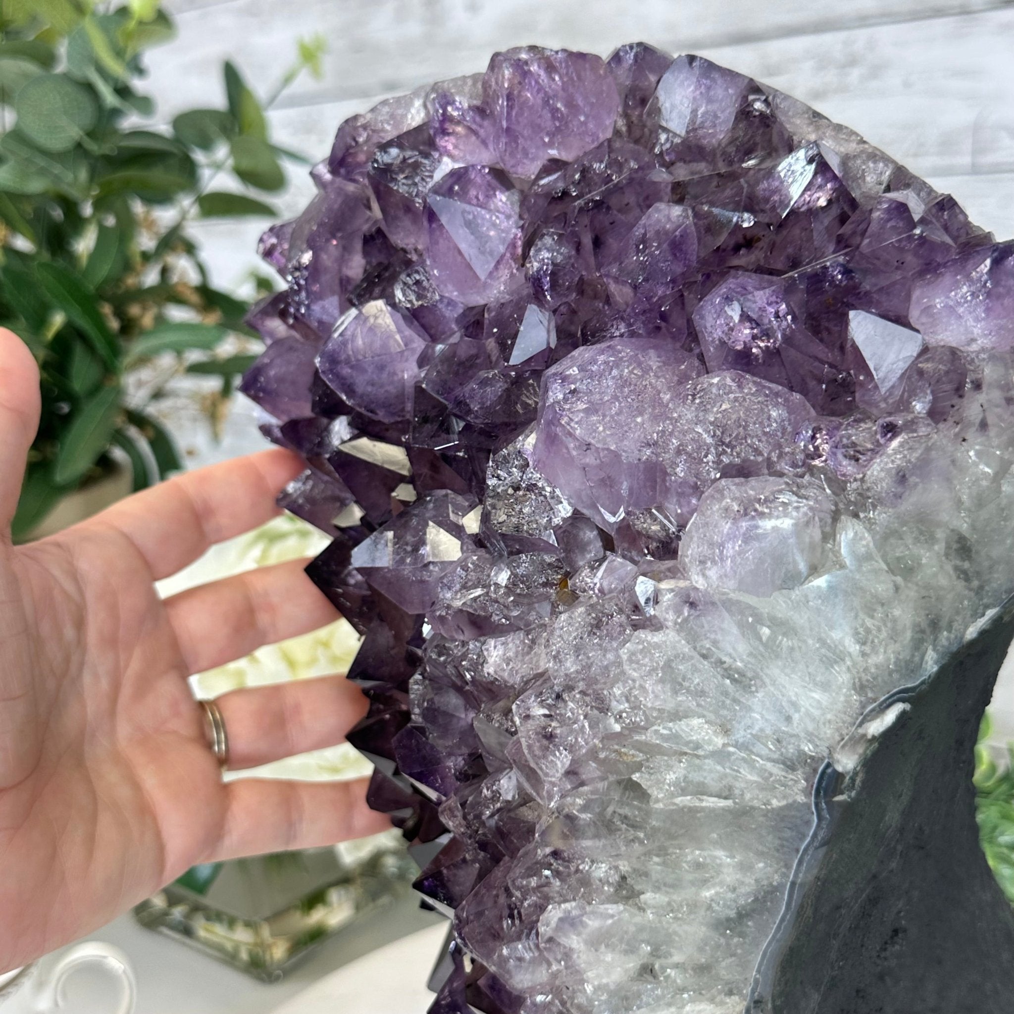 Standard Plus Quality Amethyst Crystal on Cement Base, 23 lbs and 12" Tall #5614-0091 - Brazil GemsBrazil GemsStandard Plus Quality Amethyst Crystal on Cement Base, 23 lbs and 12" Tall #5614-0091Clusters on Cement Bases5614-0091