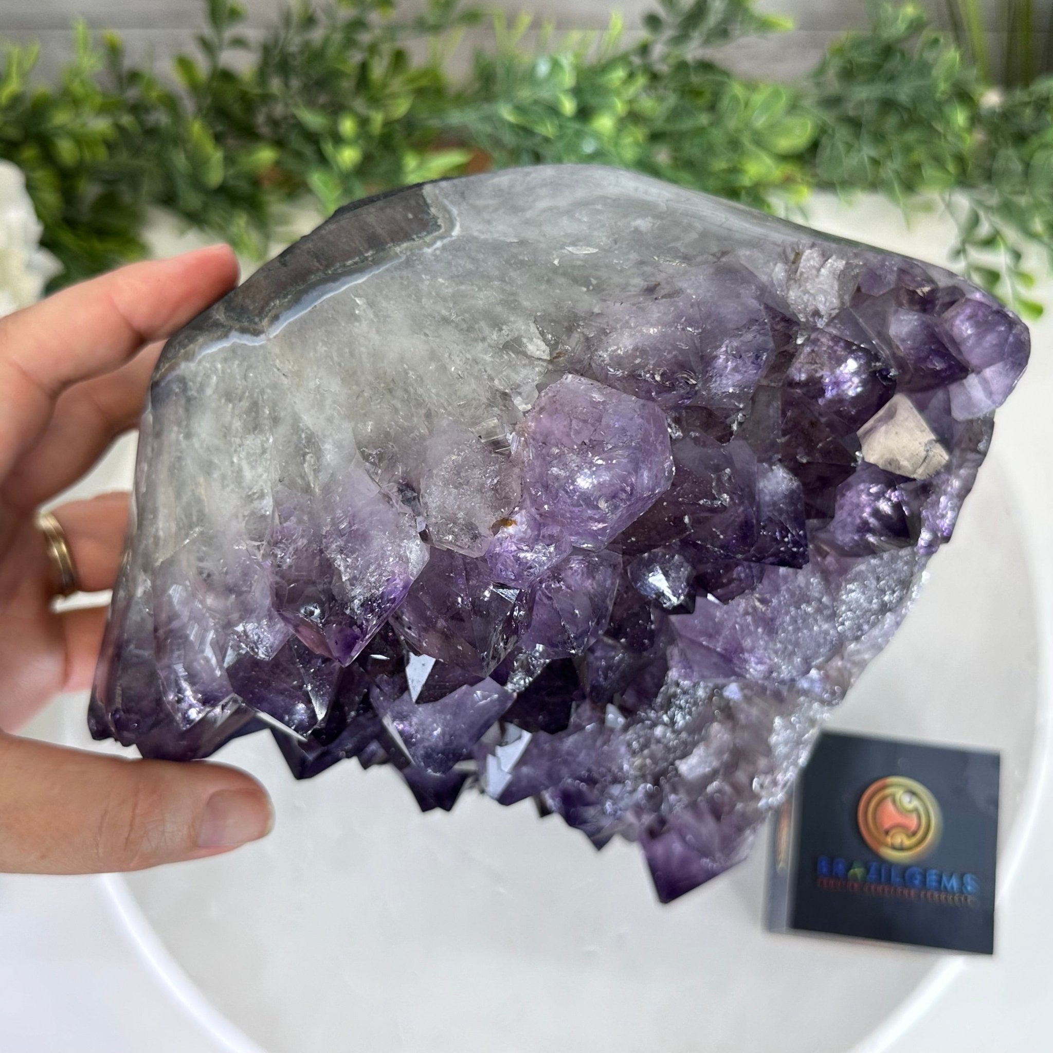 Standard Plus Quality Amethyst Crystal on Cement Base, 23 lbs and 12" Tall #5614-0091 - Brazil GemsBrazil GemsStandard Plus Quality Amethyst Crystal on Cement Base, 23 lbs and 12" Tall #5614-0091Clusters on Cement Bases5614-0091