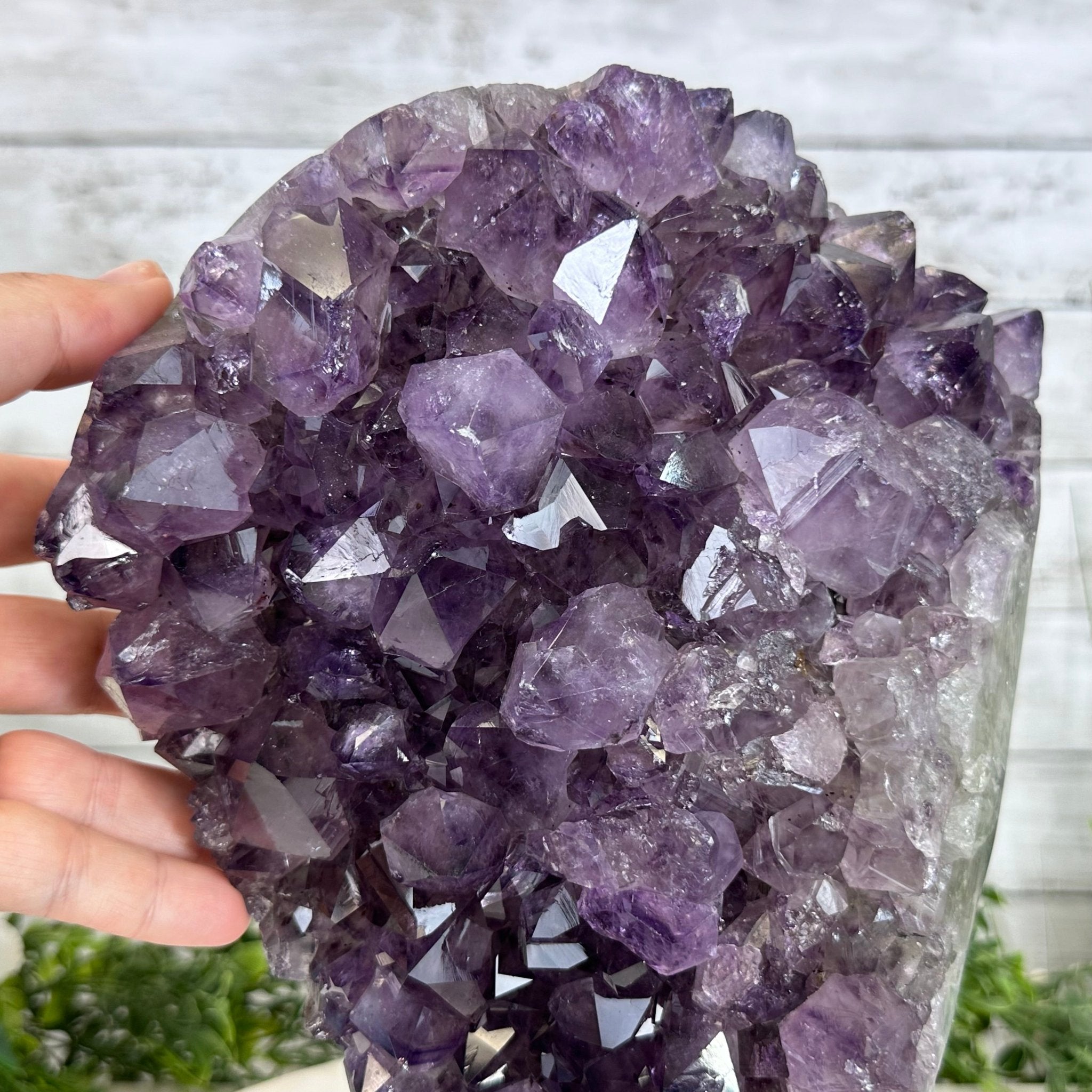 Standard Plus Quality Amethyst Crystal on Cement Base, 23 lbs and 12" Tall #5614-0091 - Brazil GemsBrazil GemsStandard Plus Quality Amethyst Crystal on Cement Base, 23 lbs and 12" Tall #5614-0091Clusters on Cement Bases5614-0091
