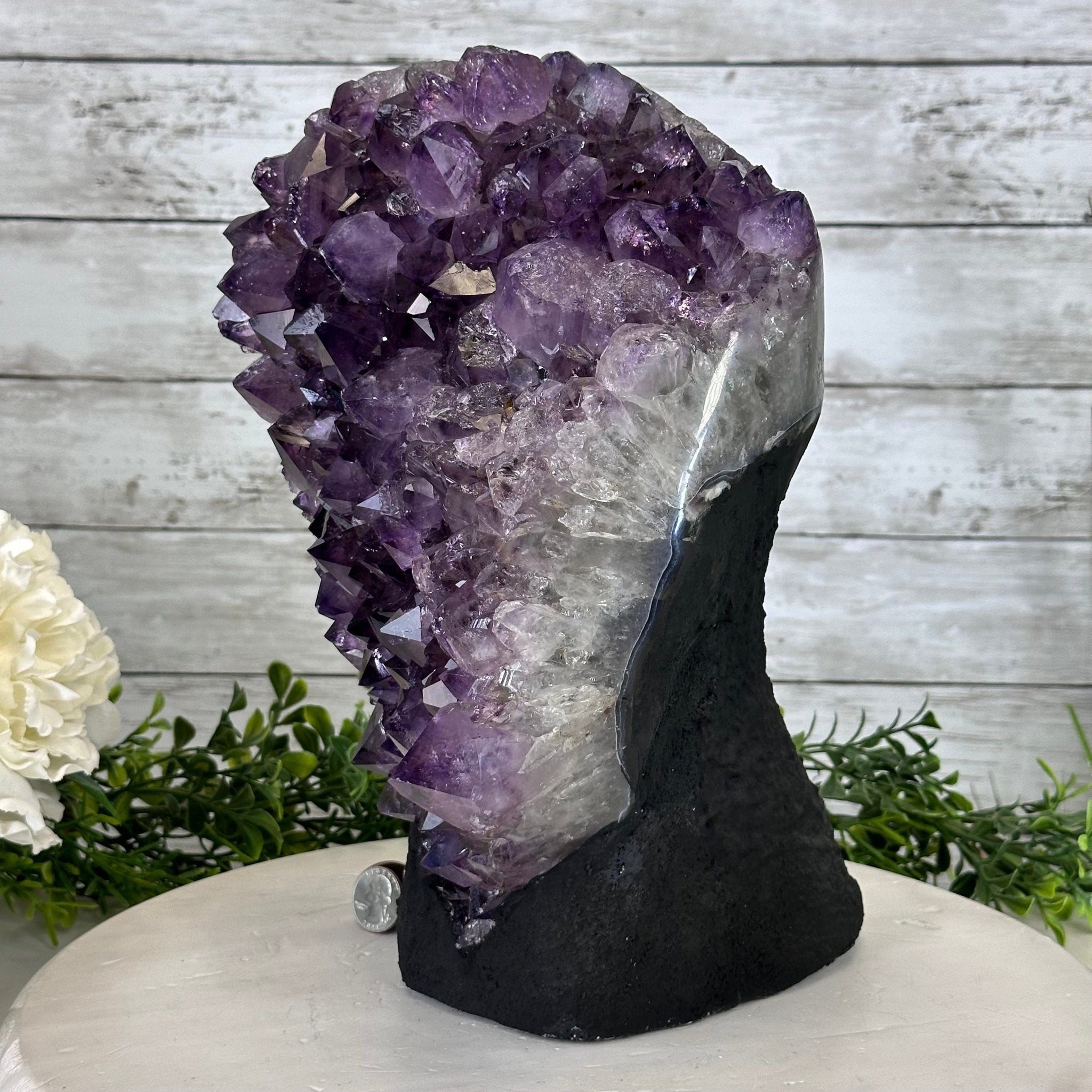 Standard Plus Quality Amethyst Crystal on Cement Base, 23 lbs and 12" Tall #5614-0091 - Brazil GemsBrazil GemsStandard Plus Quality Amethyst Crystal on Cement Base, 23 lbs and 12" Tall #5614-0091Clusters on Cement Bases5614-0091