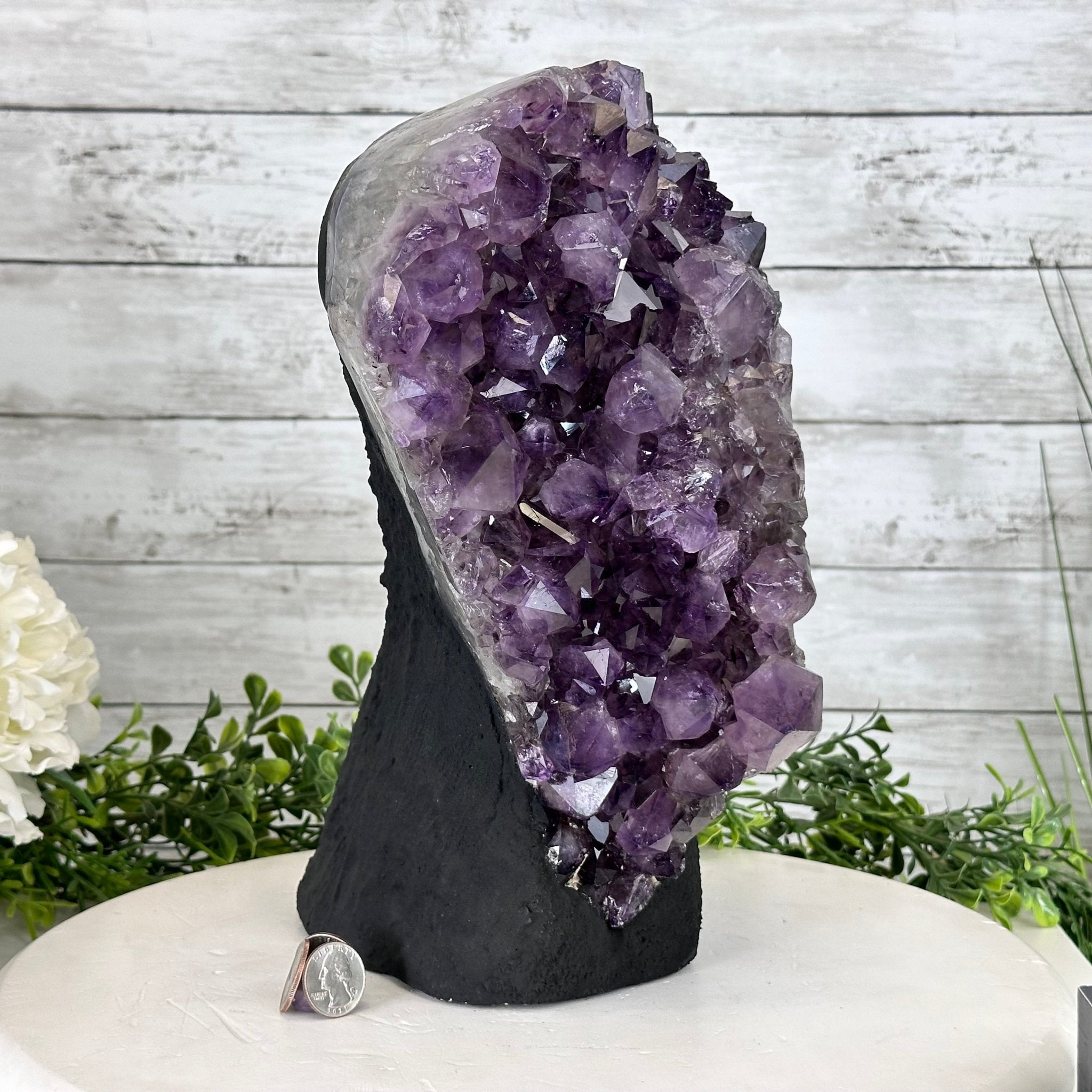 Standard Plus Quality Amethyst Crystal on Cement Base, 23 lbs and 12" Tall #5614-0091 - Brazil GemsBrazil GemsStandard Plus Quality Amethyst Crystal on Cement Base, 23 lbs and 12" Tall #5614-0091Clusters on Cement Bases5614-0091