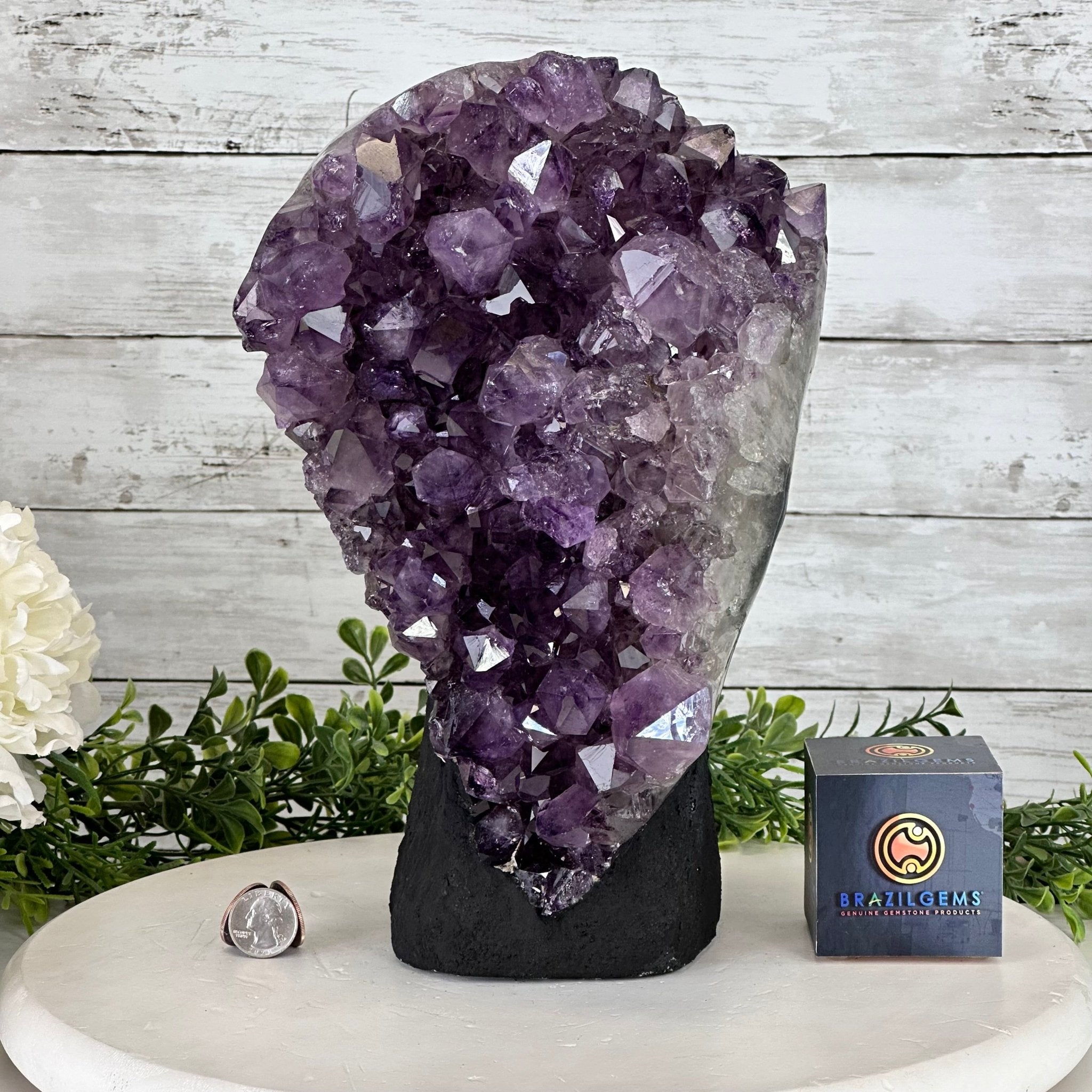 Standard Plus Quality Amethyst Crystal on Cement Base, 23 lbs and 12" Tall #5614-0091 - Brazil GemsBrazil GemsStandard Plus Quality Amethyst Crystal on Cement Base, 23 lbs and 12" Tall #5614-0091Clusters on Cement Bases5614-0091