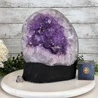 Standard Plus Quality Amethyst Crystal on Cement Base, 28.4 lbs and 11" Tall #5614-0092 - Brazil GemsBrazil GemsStandard Plus Quality Amethyst Crystal on Cement Base, 28.4 lbs and 11" Tall #5614-0092Clusters on Cement Bases5614-0092