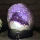 Standard Plus Quality Amethyst Crystal on Cement Base, 28.4 lbs and 11" Tall #5614-0092 - Brazil GemsBrazil GemsStandard Plus Quality Amethyst Crystal on Cement Base, 28.4 lbs and 11" Tall #5614-0092Clusters on Cement Bases5614-0092