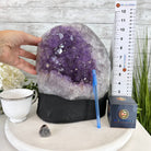 Standard Plus Quality Amethyst Crystal on Cement Base, 28.4 lbs and 11" Tall #5614-0092 - Brazil GemsBrazil GemsStandard Plus Quality Amethyst Crystal on Cement Base, 28.4 lbs and 11" Tall #5614-0092Clusters on Cement Bases5614-0092
