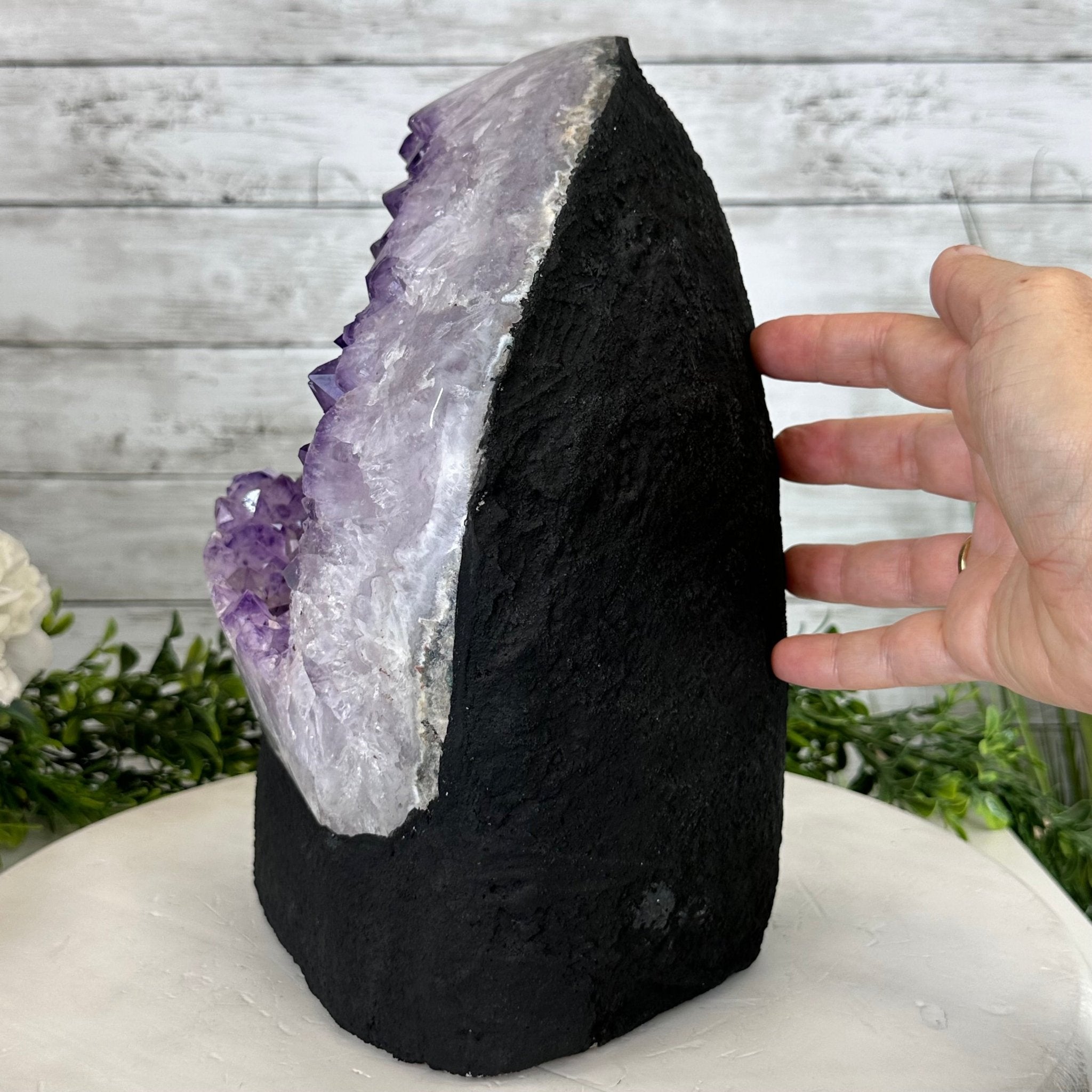 Standard Plus Quality Amethyst Crystal on Cement Base, 28.4 lbs and 11" Tall #5614-0092 - Brazil GemsBrazil GemsStandard Plus Quality Amethyst Crystal on Cement Base, 28.4 lbs and 11" Tall #5614-0092Clusters on Cement Bases5614-0092