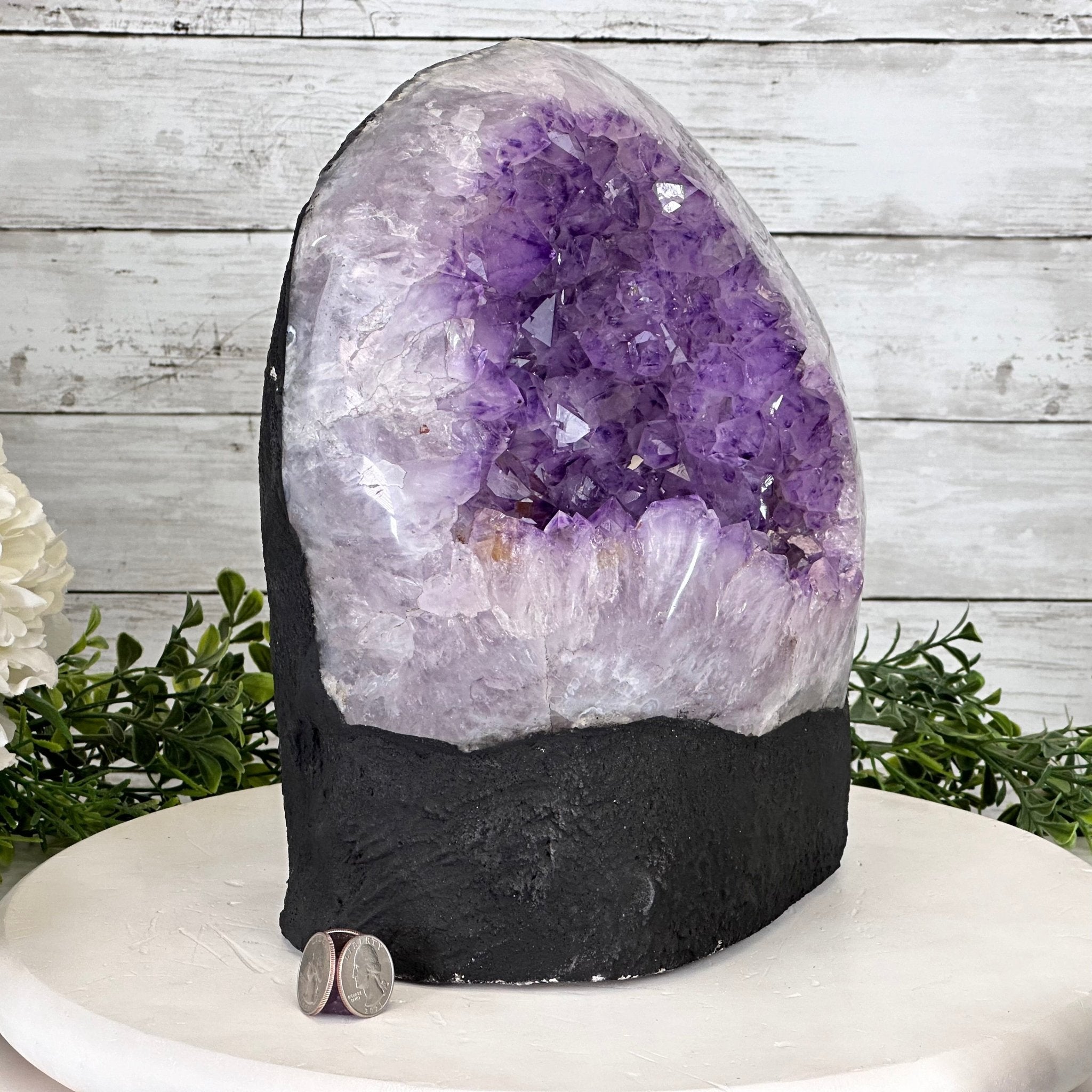 Standard Plus Quality Amethyst Crystal on Cement Base, 28.4 lbs and 11" Tall #5614-0092 - Brazil GemsBrazil GemsStandard Plus Quality Amethyst Crystal on Cement Base, 28.4 lbs and 11" Tall #5614-0092Clusters on Cement Bases5614-0092