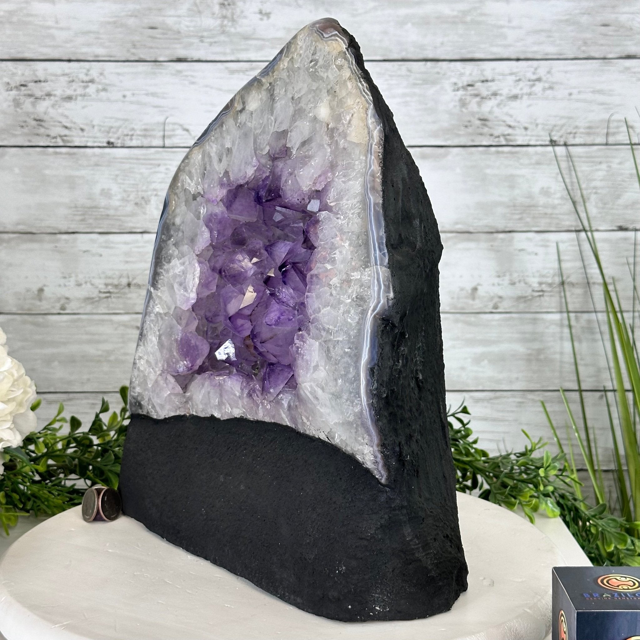 Standard Plus Quality Amethyst Crystal on Cement Base, 37.5 lbs and 13.7" Tall #5614-0095 - Brazil GemsBrazil GemsStandard Plus Quality Amethyst Crystal on Cement Base, 37.5 lbs and 13.7" Tall #5614-0095Clusters on Cement Bases5614-0095