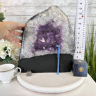 Standard Plus Quality Amethyst Crystal on Cement Base, 37.5 lbs and 13.7" Tall #5614-0095 - Brazil GemsBrazil GemsStandard Plus Quality Amethyst Crystal on Cement Base, 37.5 lbs and 13.7" Tall #5614-0095Clusters on Cement Bases5614-0095
