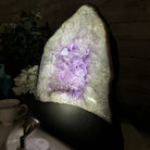 Standard Plus Quality Amethyst Crystal on Cement Base, 37.5 lbs and 13.7" Tall #5614-0095 - Brazil GemsBrazil GemsStandard Plus Quality Amethyst Crystal on Cement Base, 37.5 lbs and 13.7" Tall #5614-0095Clusters on Cement Bases5614-0095