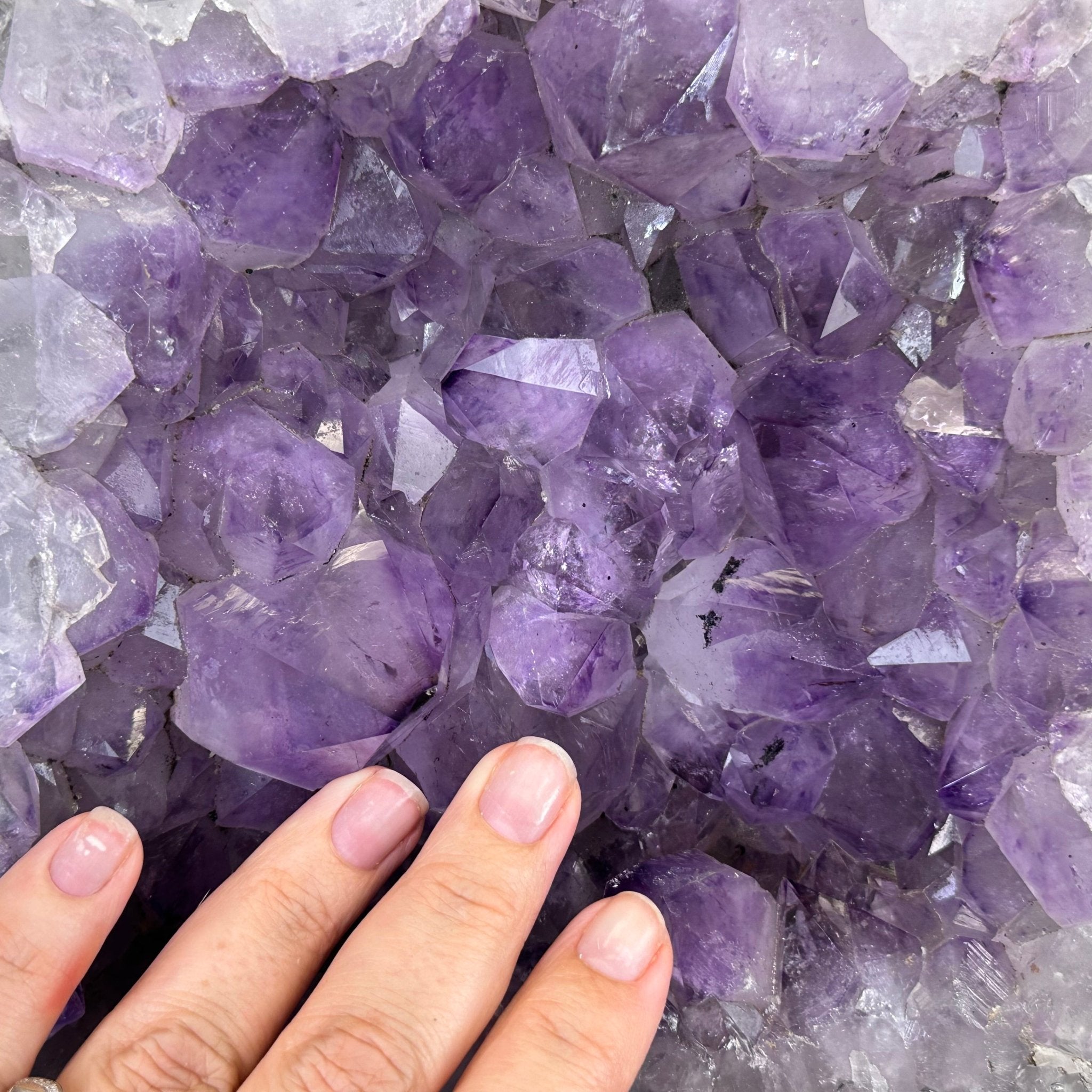 Standard Plus Quality Amethyst Crystal on Cement Base, 37.5 lbs and 13.7" Tall #5614-0095 - Brazil GemsBrazil GemsStandard Plus Quality Amethyst Crystal on Cement Base, 37.5 lbs and 13.7" Tall #5614-0095Clusters on Cement Bases5614-0095