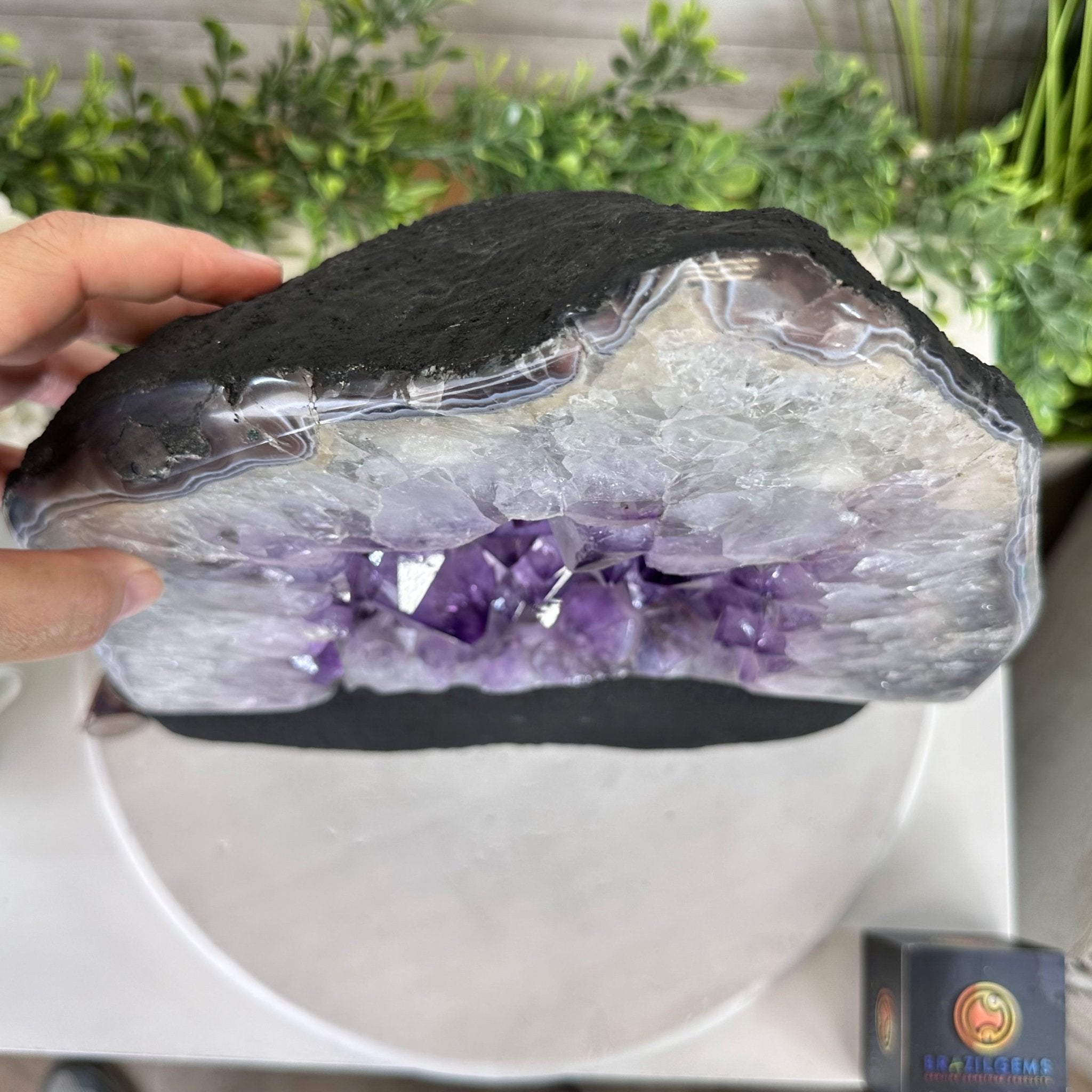 Standard Plus Quality Amethyst Crystal on Cement Base, 37.5 lbs and 13.7" Tall #5614-0095 - Brazil GemsBrazil GemsStandard Plus Quality Amethyst Crystal on Cement Base, 37.5 lbs and 13.7" Tall #5614-0095Clusters on Cement Bases5614-0095