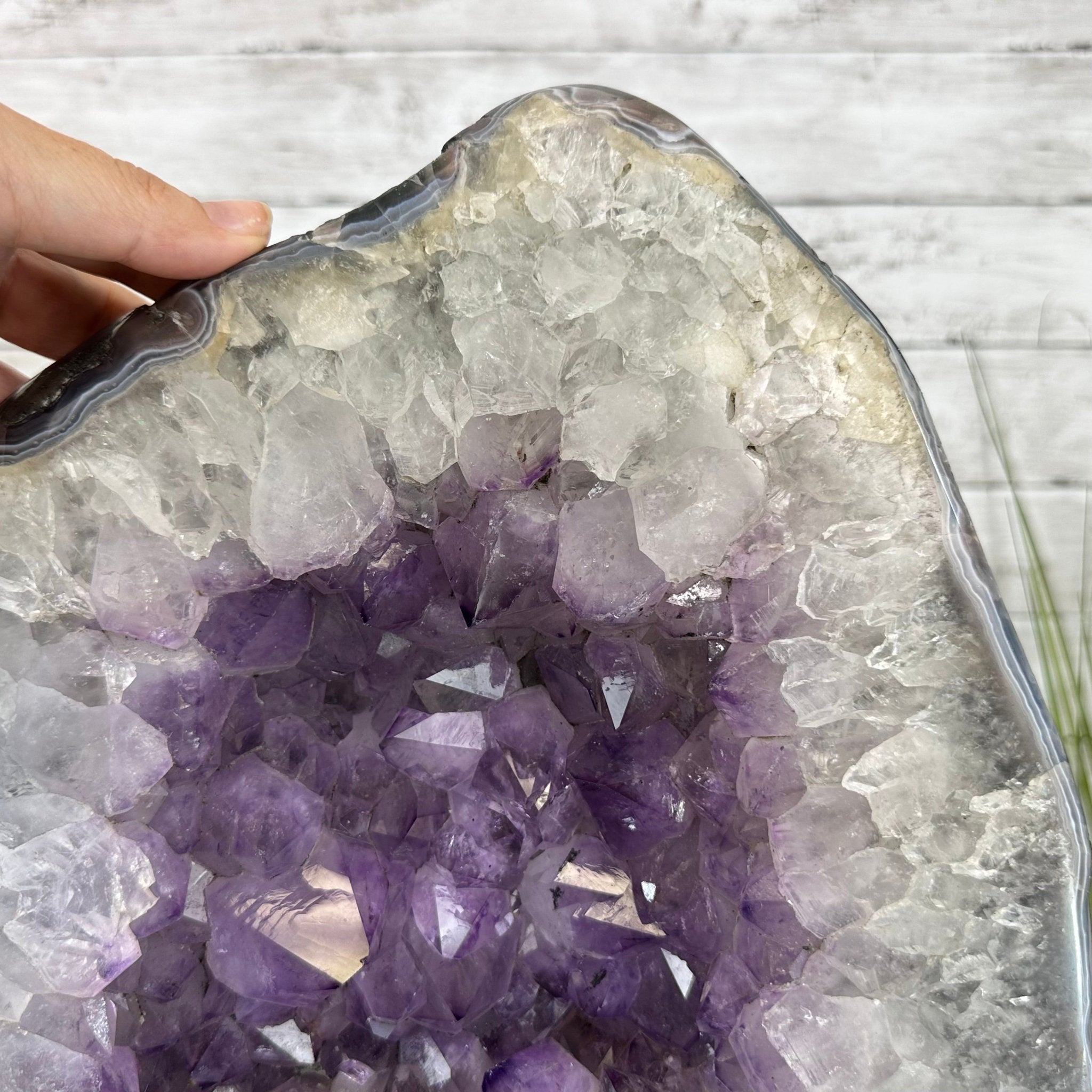 Standard Plus Quality Amethyst Crystal on Cement Base, 37.5 lbs and 13.7" Tall #5614-0095 - Brazil GemsBrazil GemsStandard Plus Quality Amethyst Crystal on Cement Base, 37.5 lbs and 13.7" Tall #5614-0095Clusters on Cement Bases5614-0095