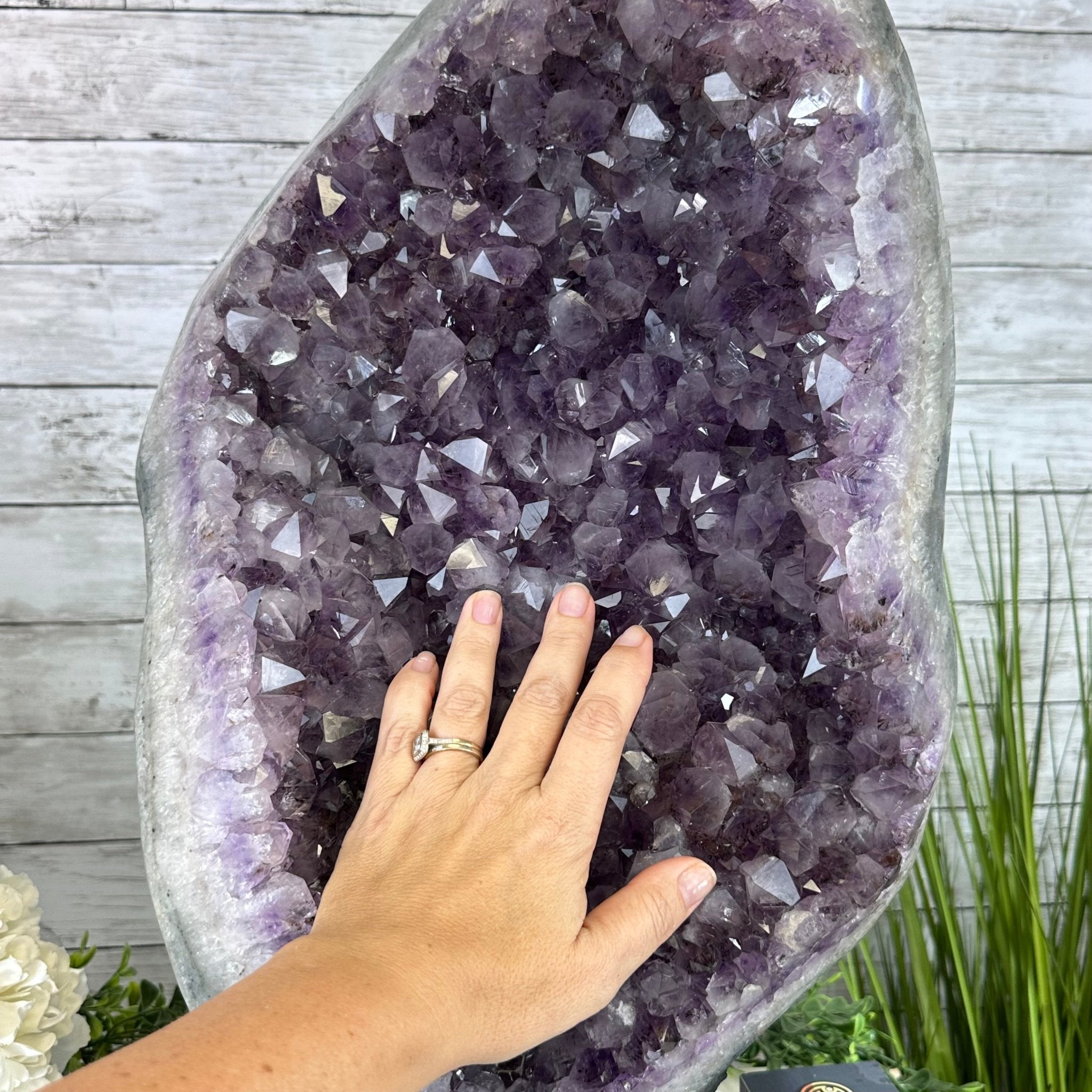 Standard Plus Quality Amethyst Crystal on Cement Base, 64.3 lbs and 22.1" Tall #5614-0096 - Brazil GemsBrazil GemsStandard Plus Quality Amethyst Crystal on Cement Base, 64.3 lbs and 22.1" Tall #5614-0096Clusters on Cement Bases5614-0096