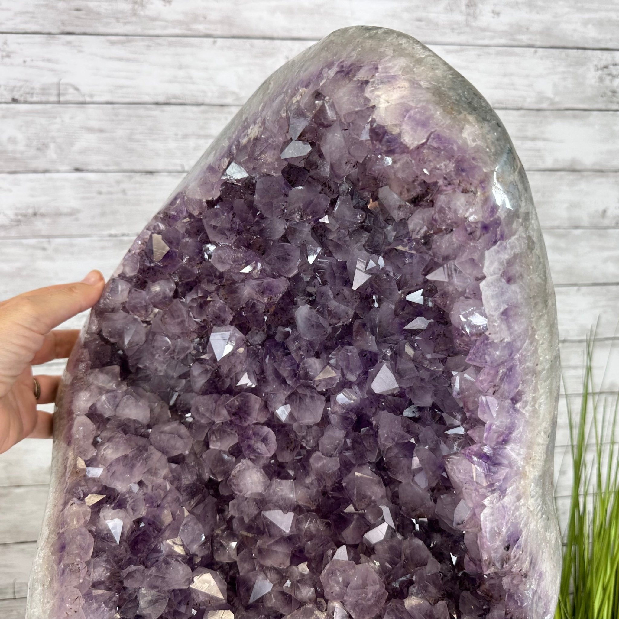 Standard Plus Quality Amethyst Crystal on Cement Base, 64.3 lbs and 22.1" Tall #5614-0096 - Brazil GemsBrazil GemsStandard Plus Quality Amethyst Crystal on Cement Base, 64.3 lbs and 22.1" Tall #5614-0096Clusters on Cement Bases5614-0096