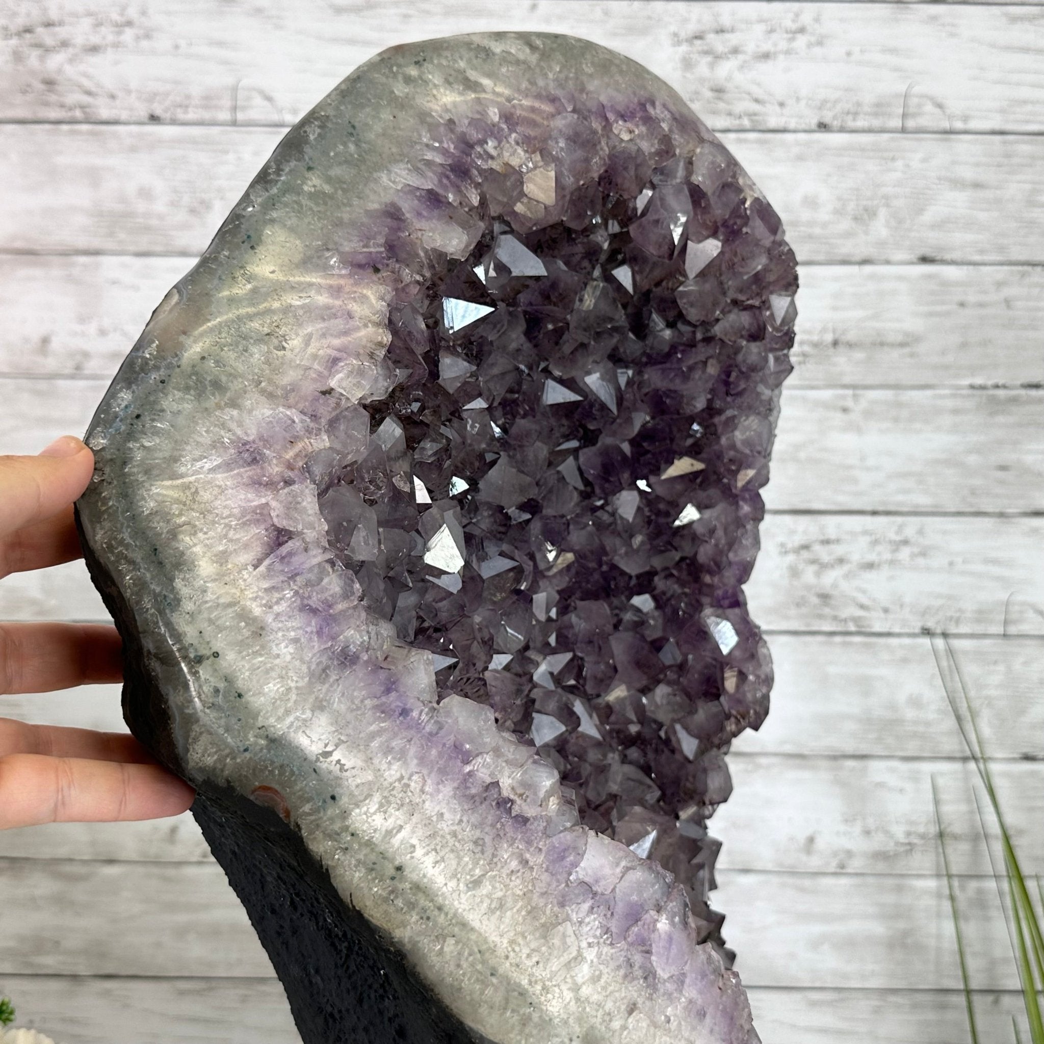 Standard Plus Quality Amethyst Crystal on Cement Base, 64.3 lbs and 22.1" Tall #5614-0096 - Brazil GemsBrazil GemsStandard Plus Quality Amethyst Crystal on Cement Base, 64.3 lbs and 22.1" Tall #5614-0096Clusters on Cement Bases5614-0096