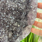 Standard Plus Quality Amethyst Crystal on Cement Base, 69.9 lbs and 22" Tall #5614-0097 - Brazil GemsBrazil GemsStandard Plus Quality Amethyst Crystal on Cement Base, 69.9 lbs and 22" Tall #5614-0097Clusters on Cement Bases5614-0097