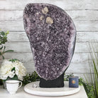 Standard Plus Quality Amethyst Crystal on Cement Base, 69.9 lbs and 22" Tall #5614-0097 - Brazil GemsBrazil GemsStandard Plus Quality Amethyst Crystal on Cement Base, 69.9 lbs and 22" Tall #5614-0097Clusters on Cement Bases5614-0097