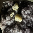 Standard Plus Quality Amethyst Crystal on Cement Base, 69.9 lbs and 22" Tall #5614-0097 - Brazil GemsBrazil GemsStandard Plus Quality Amethyst Crystal on Cement Base, 69.9 lbs and 22" Tall #5614-0097Clusters on Cement Bases5614-0097