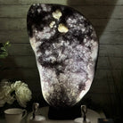 Standard Plus Quality Amethyst Crystal on Cement Base, 69.9 lbs and 22" Tall #5614-0097 - Brazil GemsBrazil GemsStandard Plus Quality Amethyst Crystal on Cement Base, 69.9 lbs and 22" Tall #5614-0097Clusters on Cement Bases5614-0097