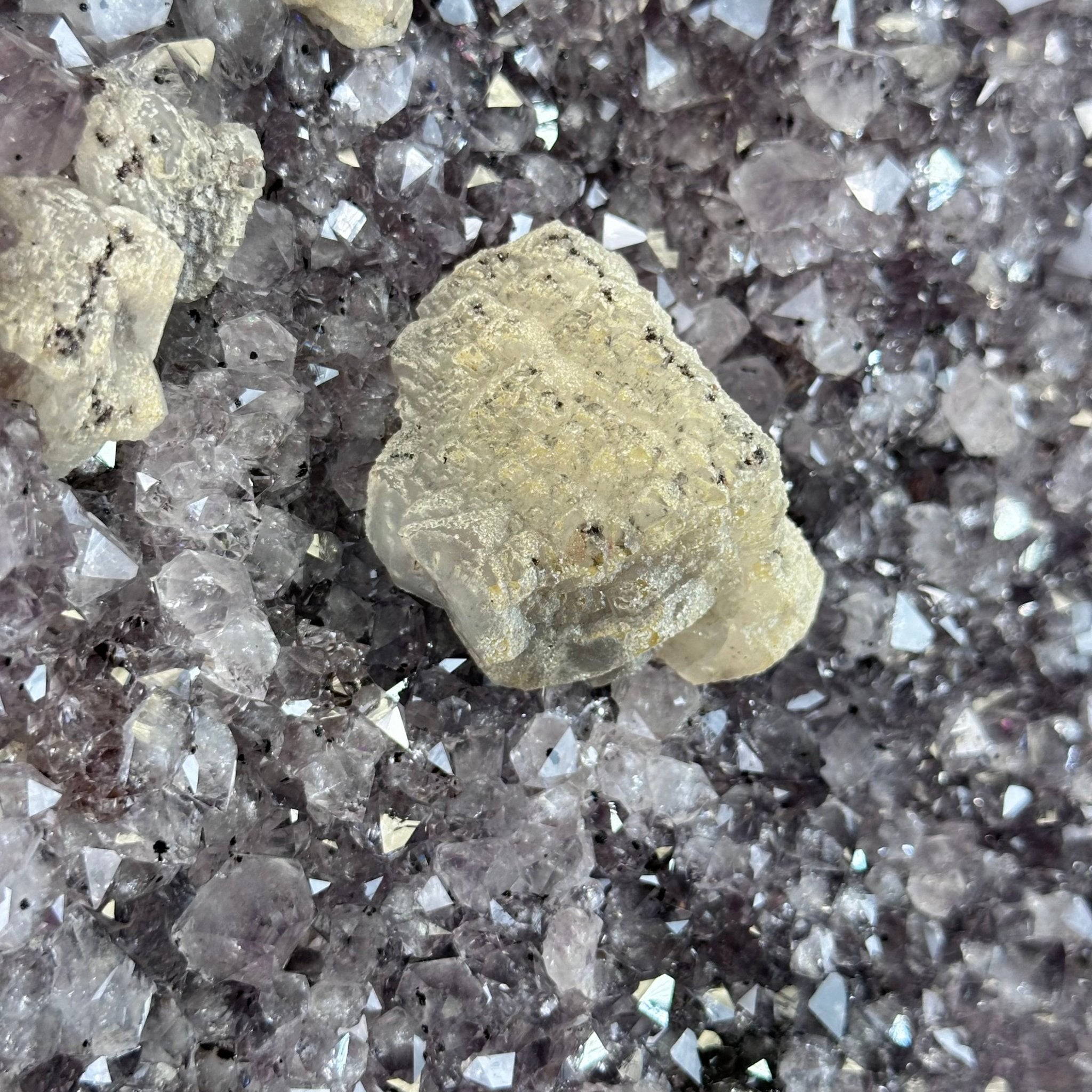 Standard Plus Quality Amethyst Crystal on Cement Base, 69.9 lbs and 22" Tall #5614-0097 - Brazil GemsBrazil GemsStandard Plus Quality Amethyst Crystal on Cement Base, 69.9 lbs and 22" Tall #5614-0097Clusters on Cement Bases5614-0097