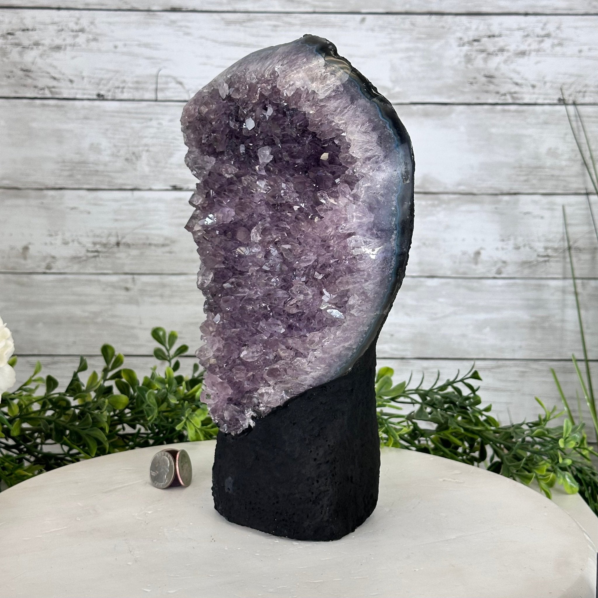 Standard Plus Quality Amethyst Crystal on Cement Base, 9.7 lbs and 11" Tall #5614-0086 - Brazil GemsBrazil GemsStandard Plus Quality Amethyst Crystal on Cement Base, 9.7 lbs and 11" Tall #5614-0086Clusters on Cement Bases5614-0086
