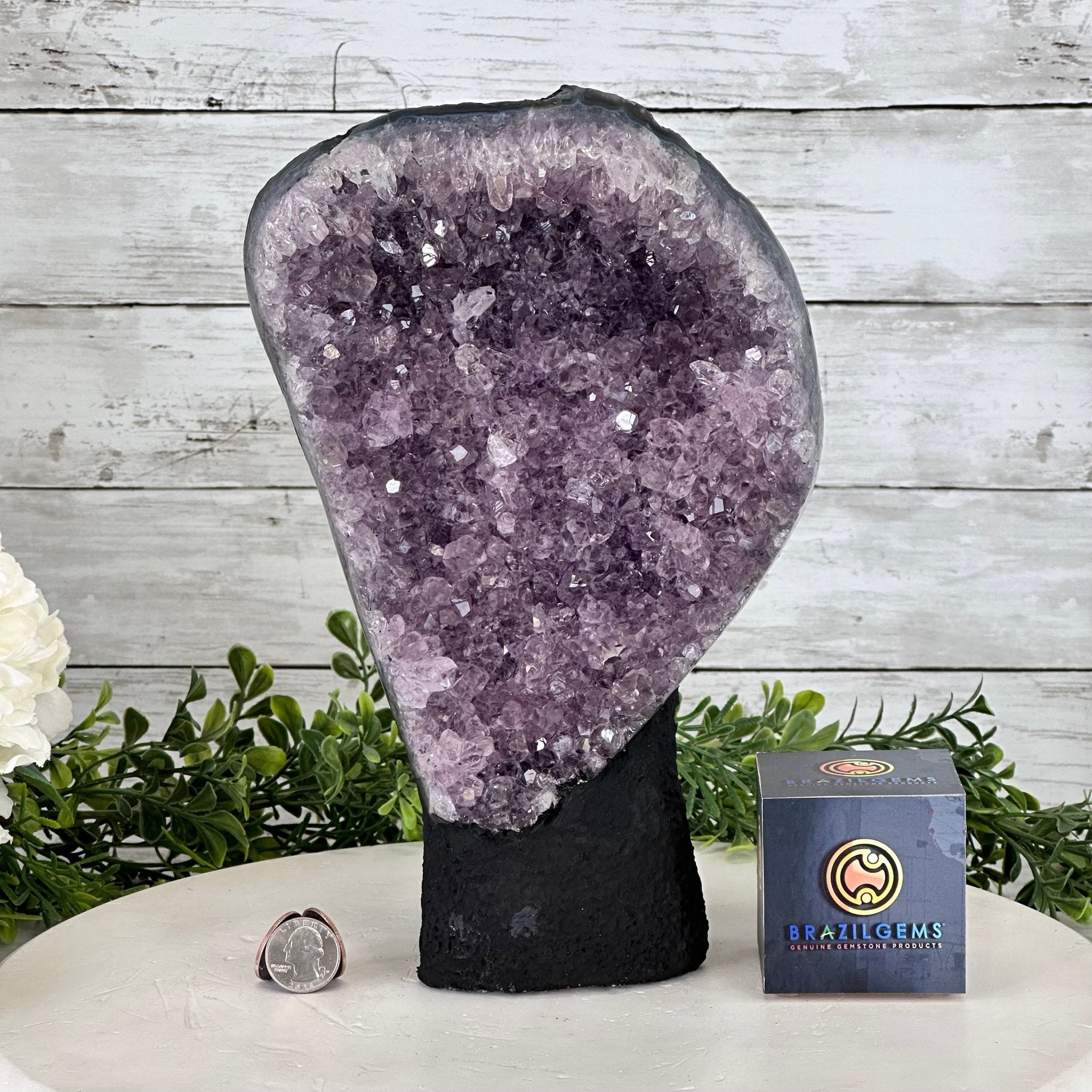 Standard Plus Quality Amethyst Crystal on Cement Base, 9.7 lbs and 11" Tall #5614-0086 - Brazil GemsBrazil GemsStandard Plus Quality Amethyst Crystal on Cement Base, 9.7 lbs and 11" Tall #5614-0086Clusters on Cement Bases5614-0086