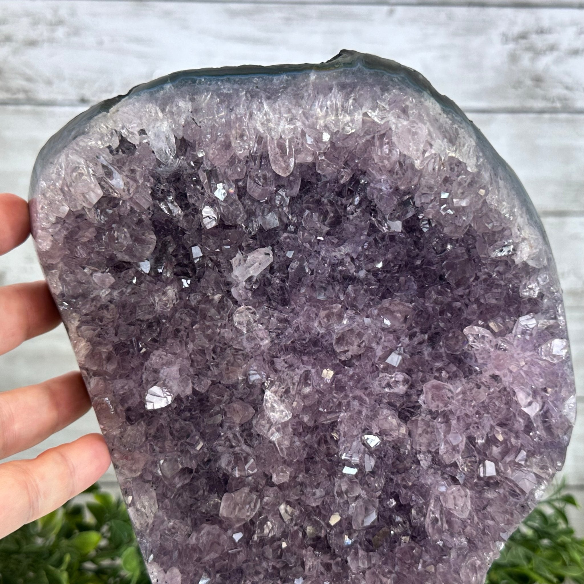Standard Plus Quality Amethyst Crystal on Cement Base, 9.7 lbs and 11" Tall #5614-0086 - Brazil GemsBrazil GemsStandard Plus Quality Amethyst Crystal on Cement Base, 9.7 lbs and 11" Tall #5614-0086Clusters on Cement Bases5614-0086