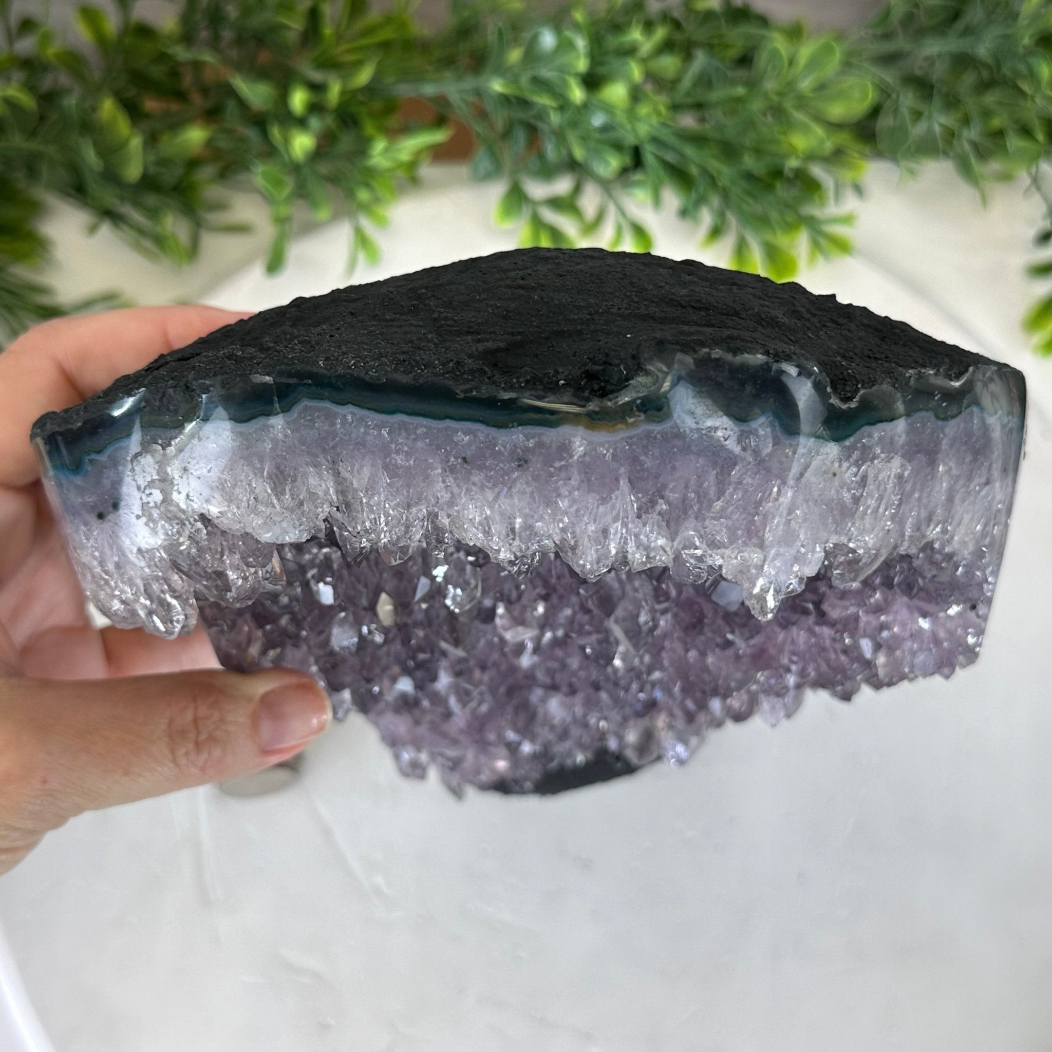 Standard Plus Quality Amethyst Crystal on Cement Base, 9.7 lbs and 11" Tall #5614-0086 - Brazil GemsBrazil GemsStandard Plus Quality Amethyst Crystal on Cement Base, 9.7 lbs and 11" Tall #5614-0086Clusters on Cement Bases5614-0086