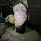 Standard Plus Quality Amethyst Crystal on Cement Base, 9.7 lbs and 11" Tall #5614-0086 - Brazil GemsBrazil GemsStandard Plus Quality Amethyst Crystal on Cement Base, 9.7 lbs and 11" Tall #5614-0086Clusters on Cement Bases5614-0086