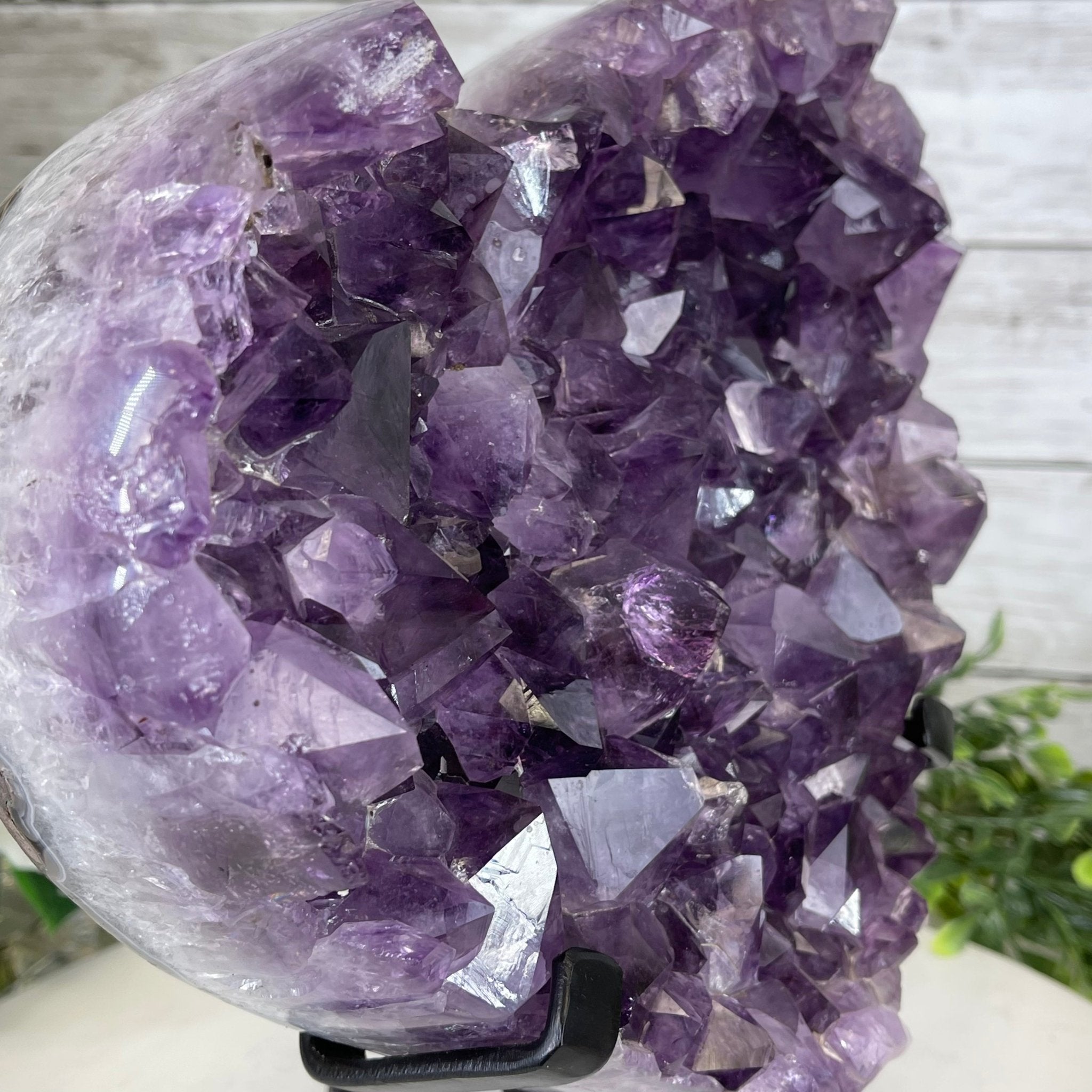 Standard Plus Quality Amethyst Heart Geode, metal stand, 11.7 lbs & 11" Tall Model #5463-0232 by Brazil Gems - Brazil GemsBrazil GemsStandard Plus Quality Amethyst Heart Geode, metal stand, 11.7 lbs & 11" Tall Model #5463-0232 by Brazil GemsHearts5463-0232
