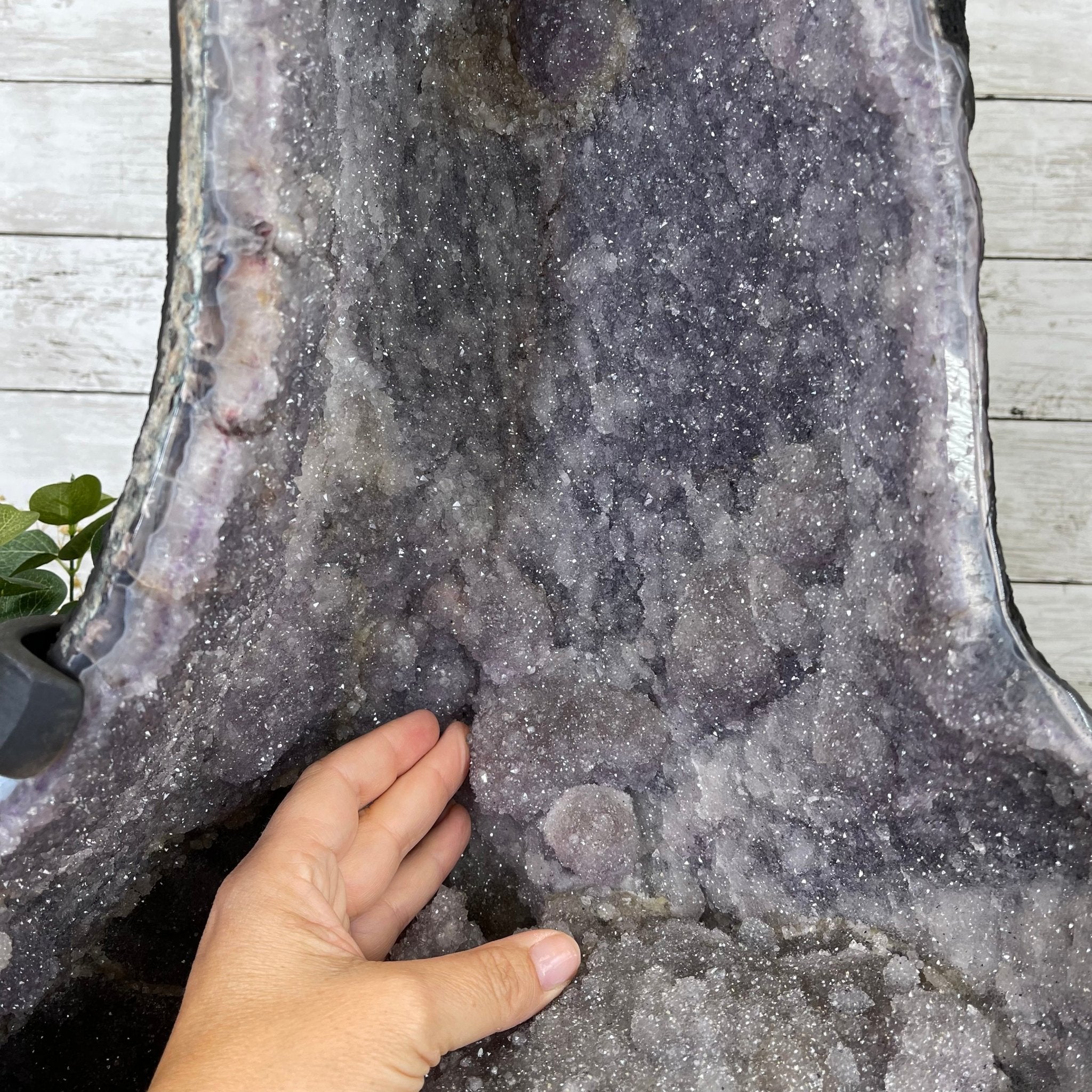Standard Plus Quality Amethyst Wings on a Metal Stand, 88.2 lbs, 27.5" Tall #5493-0016 - Brazil GemsBrazil GemsStandard Plus Quality Amethyst Wings on a Metal Stand, 88.2 lbs, 27.5" Tall #5493-0016Amethyst Butterfly Wings5493-0016