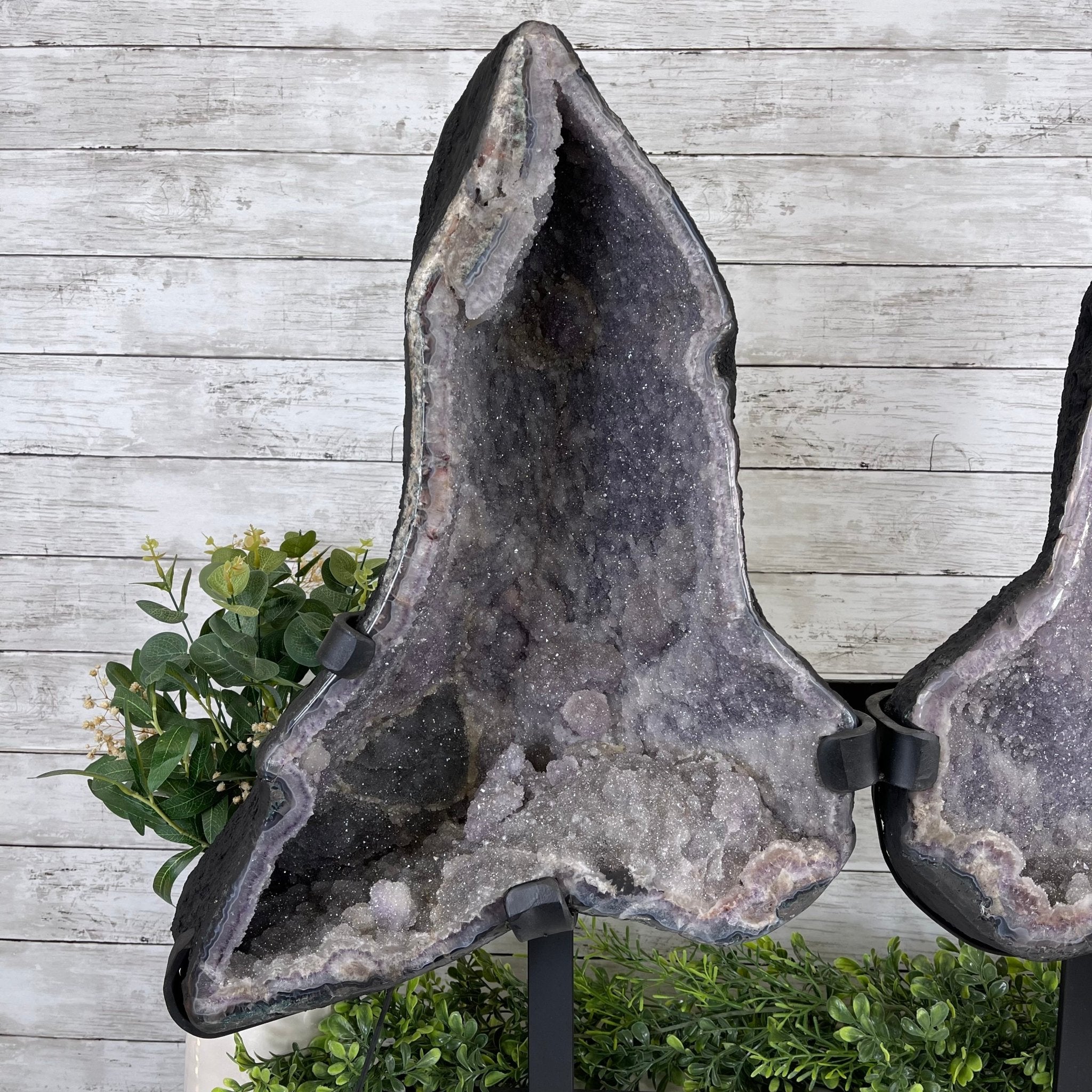 Standard Plus Quality Amethyst Wings on a Metal Stand, 88.2 lbs, 27.5" Tall #5493-0016 - Brazil GemsBrazil GemsStandard Plus Quality Amethyst Wings on a Metal Stand, 88.2 lbs, 27.5" Tall #5493-0016Amethyst Butterfly Wings5493-0016