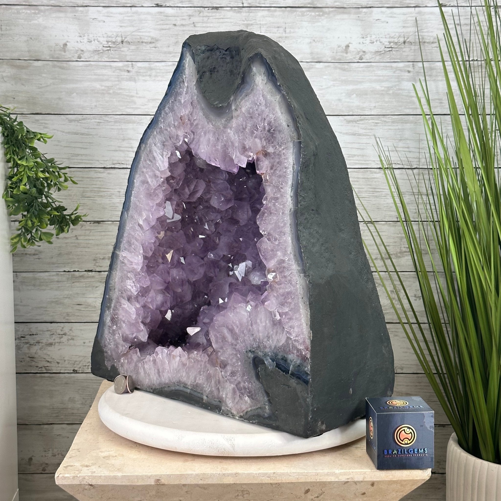 Standard Plus Quality Brazilian Amethyst Cathedral, 121.1 lbs & 18.5” tall Model #5601-0775 by Brazil Gems - Brazil GemsBrazil GemsStandard Plus Quality Brazilian Amethyst Cathedral, 121.1 lbs & 18.5” tall Model #5601-0775 by Brazil GemsCathedrals5601-0775