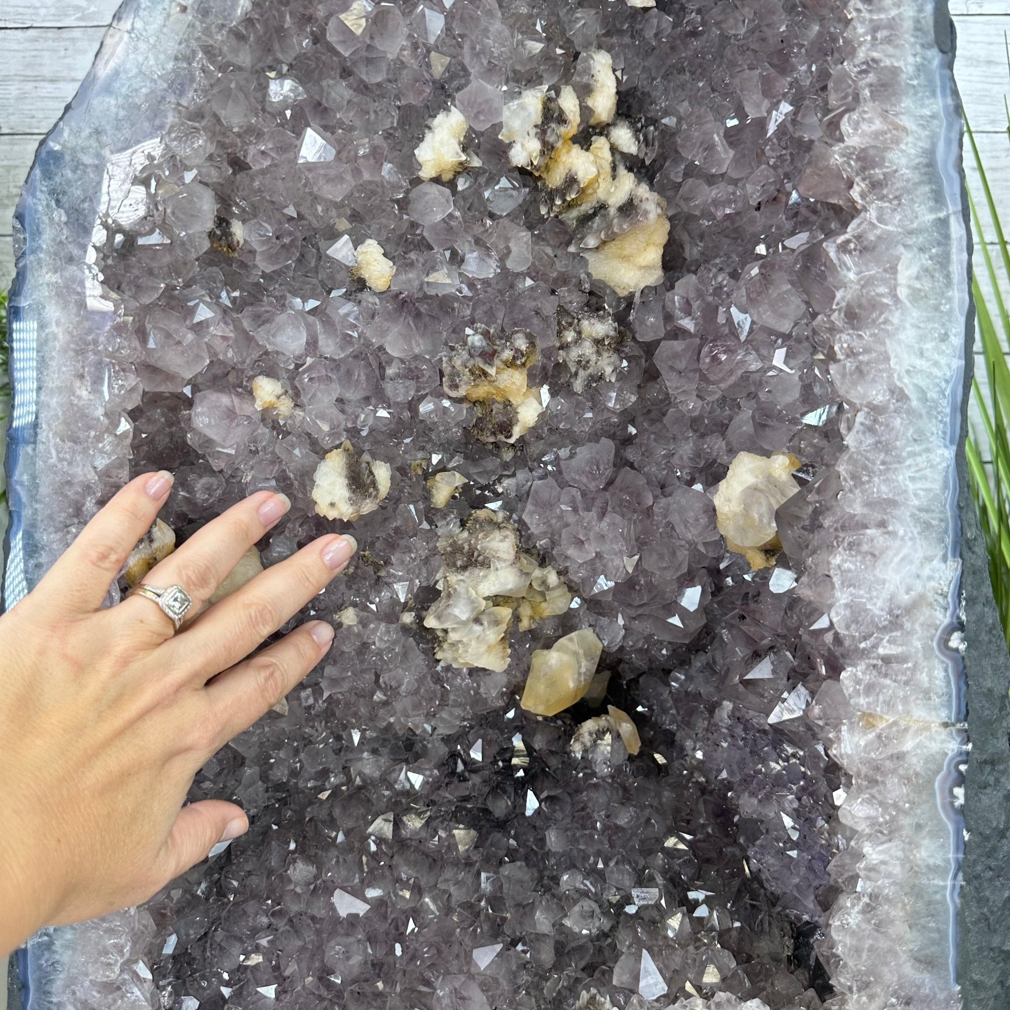 Standard Plus Quality Brazilian Amethyst Cathedral, 132.4 lbs & 23.5” tall Model #5601-0777 by Brazil Gems - Brazil GemsBrazil GemsStandard Plus Quality Brazilian Amethyst Cathedral, 132.4 lbs & 23.5” tall Model #5601-0777 by Brazil GemsCathedrals5601-0777