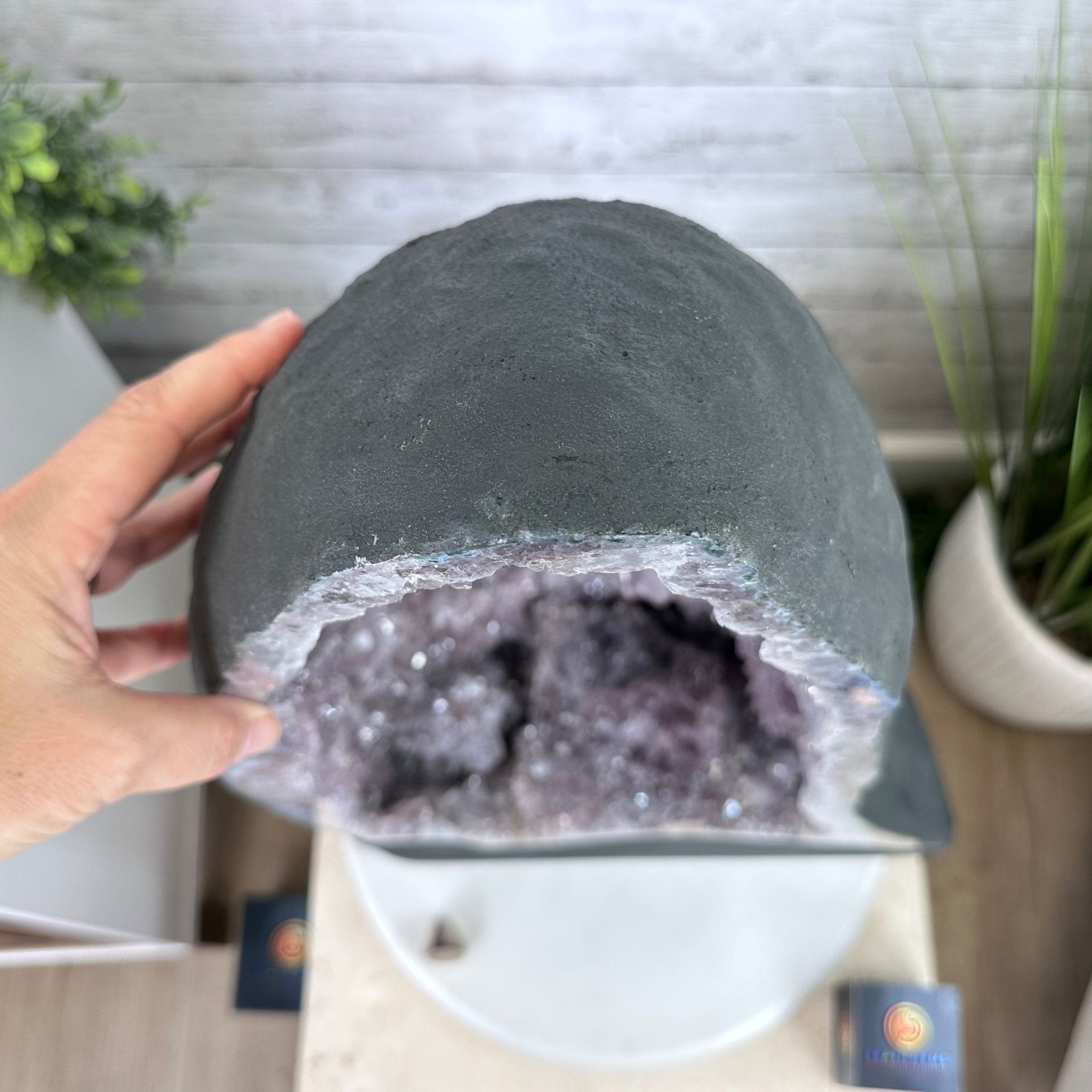 Standard Plus Quality Brazilian Amethyst Cathedral, 95.9 lbs & 25.2” tall Model #5601-0743 by Brazil Gems - Brazil GemsBrazil GemsStandard Plus Quality Brazilian Amethyst Cathedral, 95.9 lbs & 25.2” tall Model #5601-0743 by Brazil GemsCathedrals5601-0743