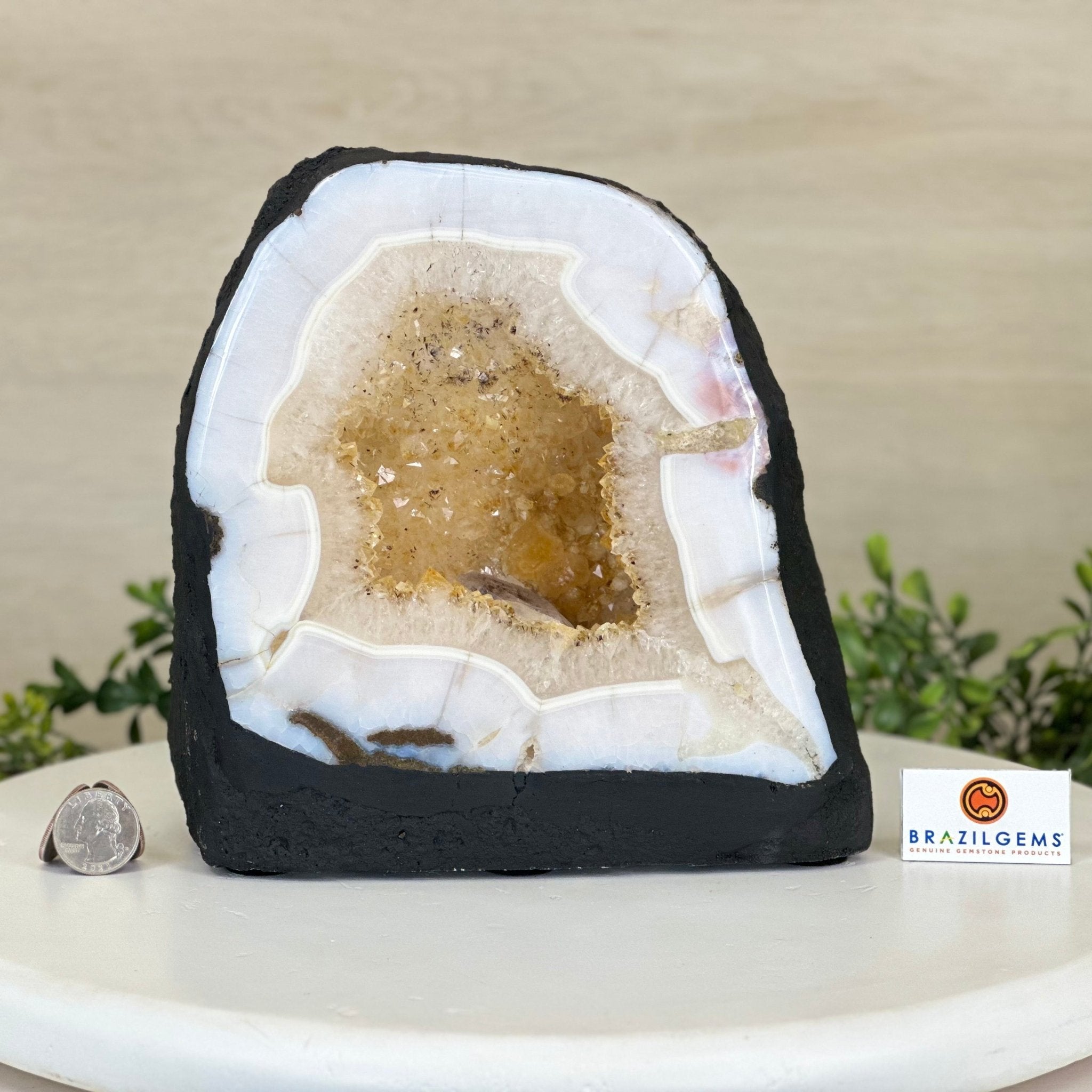 Standard Plus Quality Citrine Cathedral, 13.9 lbs & 7.9" Tall 5603 - 0354 - Brazil GemsBrazil GemsStandard Plus Quality Citrine Cathedral, 13.9 lbs & 7.9" Tall 5603 - 0354Cathedrals5603 - 0354