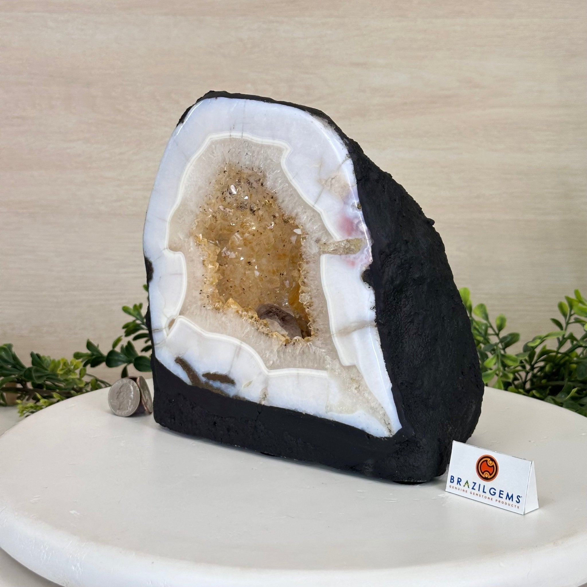 Standard Plus Quality Citrine Cathedral, 13.9 lbs & 7.9" Tall 5603 - 0354 - Brazil GemsBrazil GemsStandard Plus Quality Citrine Cathedral, 13.9 lbs & 7.9" Tall 5603 - 0354Cathedrals5603 - 0354