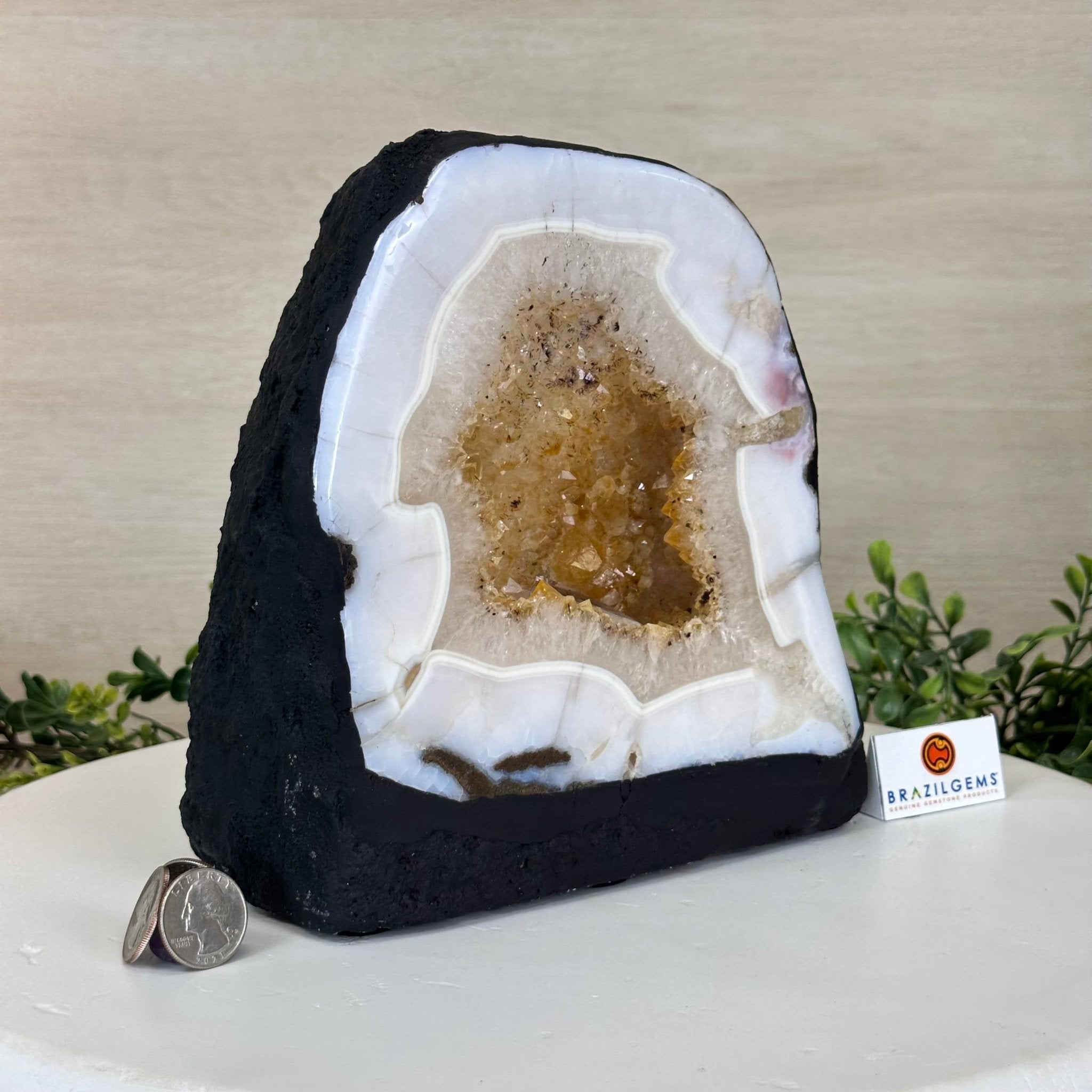 Standard Plus Quality Citrine Cathedral, 13.9 lbs & 7.9" Tall 5603 - 0354 - Brazil GemsBrazil GemsStandard Plus Quality Citrine Cathedral, 13.9 lbs & 7.9" Tall 5603 - 0354Cathedrals5603 - 0354