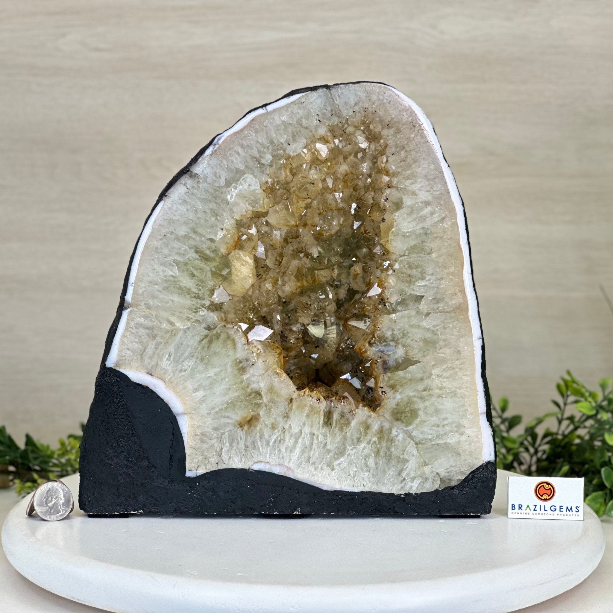 Standard Plus Quality Citrine Cathedral, 26.9 lbs & 10.6" Tall 5603 - 0357 - Brazil GemsBrazil GemsStandard Plus Quality Citrine Cathedral, 26.9 lbs & 10.6" Tall 5603 - 0357Cathedrals5603 - 0357