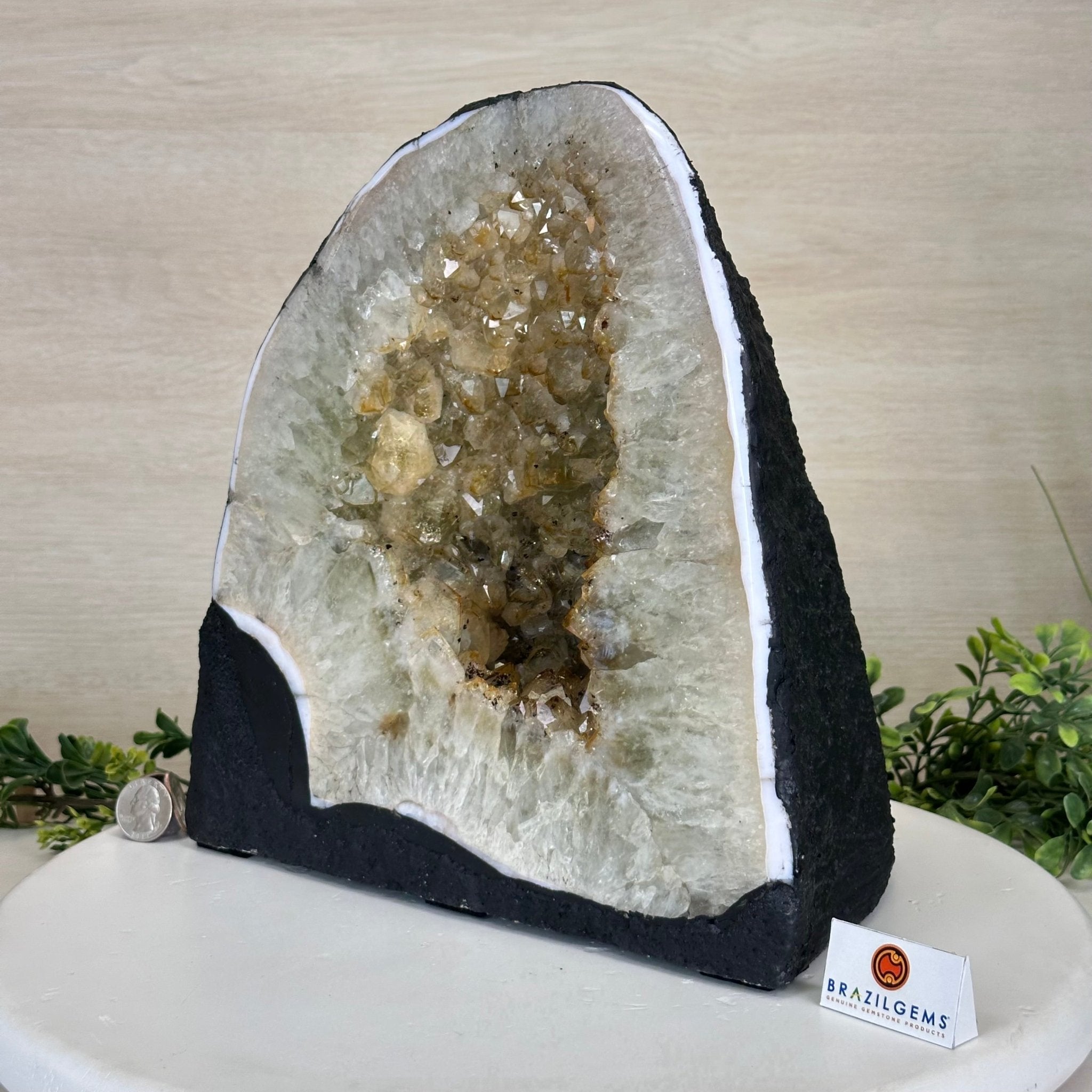 Standard Plus Quality Citrine Cathedral, 26.9 lbs & 10.6" Tall 5603 - 0357 - Brazil GemsBrazil GemsStandard Plus Quality Citrine Cathedral, 26.9 lbs & 10.6" Tall 5603 - 0357Cathedrals5603 - 0357