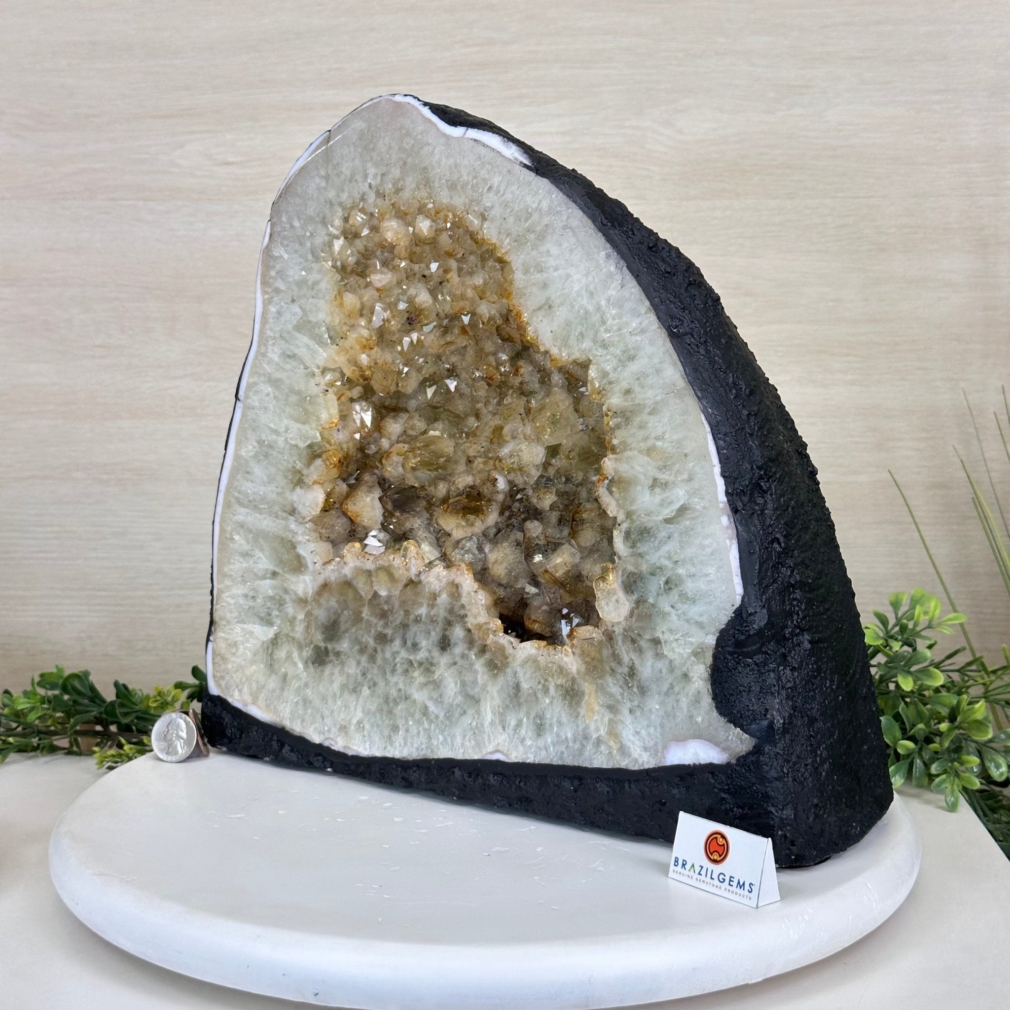 Standard Plus Quality Citrine Cathedral, 43 lbs & 12.2" Tall 5603 - 0360 - Brazil GemsBrazil GemsStandard Plus Quality Citrine Cathedral, 43 lbs & 12.2" Tall 5603 - 0360Cathedrals5603 - 0360