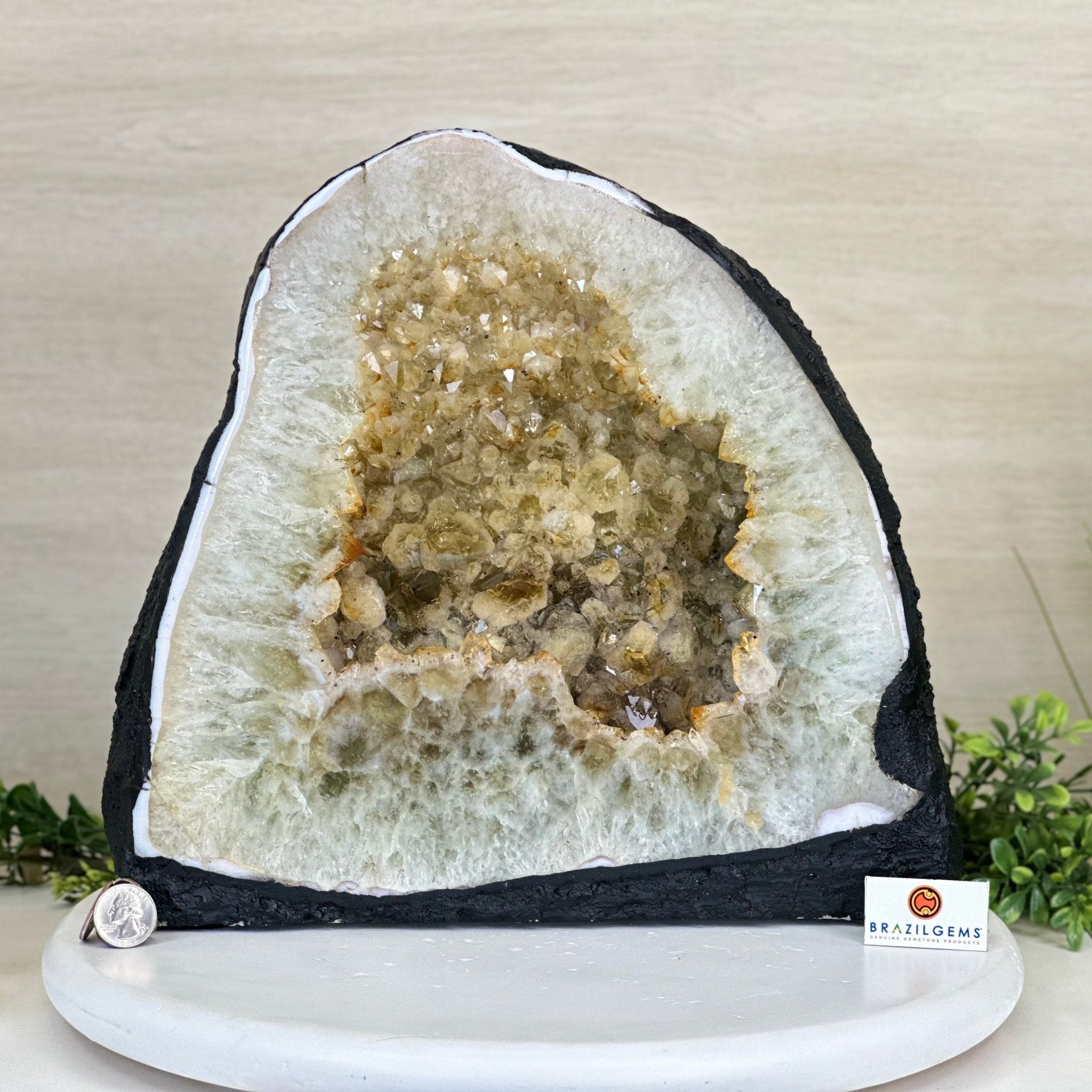 Standard Plus Quality Citrine Cathedral, 43 lbs & 12.2" Tall 5603 - 0360 - Brazil GemsBrazil GemsStandard Plus Quality Citrine Cathedral, 43 lbs & 12.2" Tall 5603 - 0360Cathedrals5603 - 0360