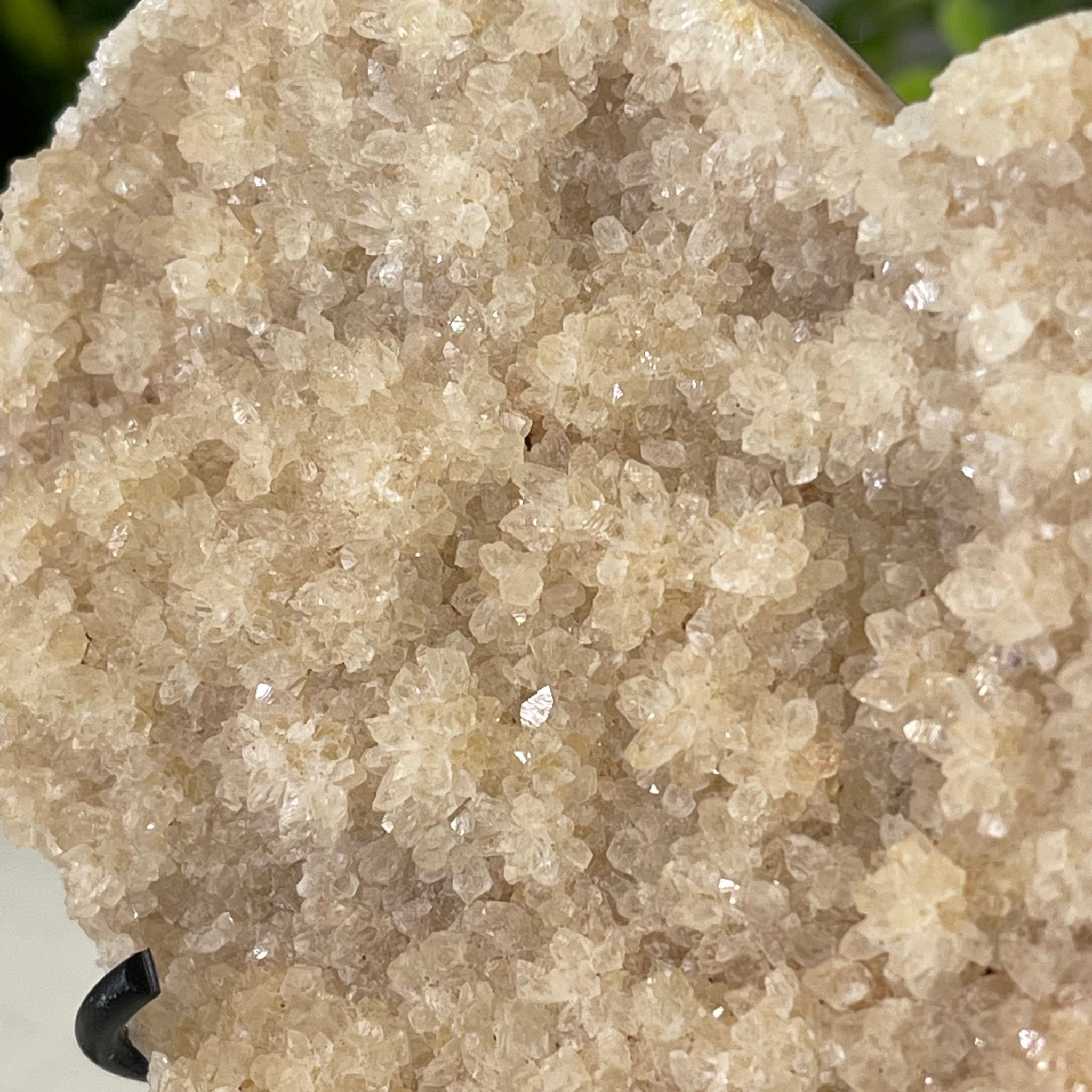 Standard Plus Quality Citrine Heart Geode, metal stand, 1 lbs & 5" Tall Model #5465-0015 by Brazil Gems - Brazil GemsBrazil GemsStandard Plus Quality Citrine Heart Geode, metal stand, 1 lbs & 5" Tall Model #5465-0015 by Brazil GemsHearts5465-0015