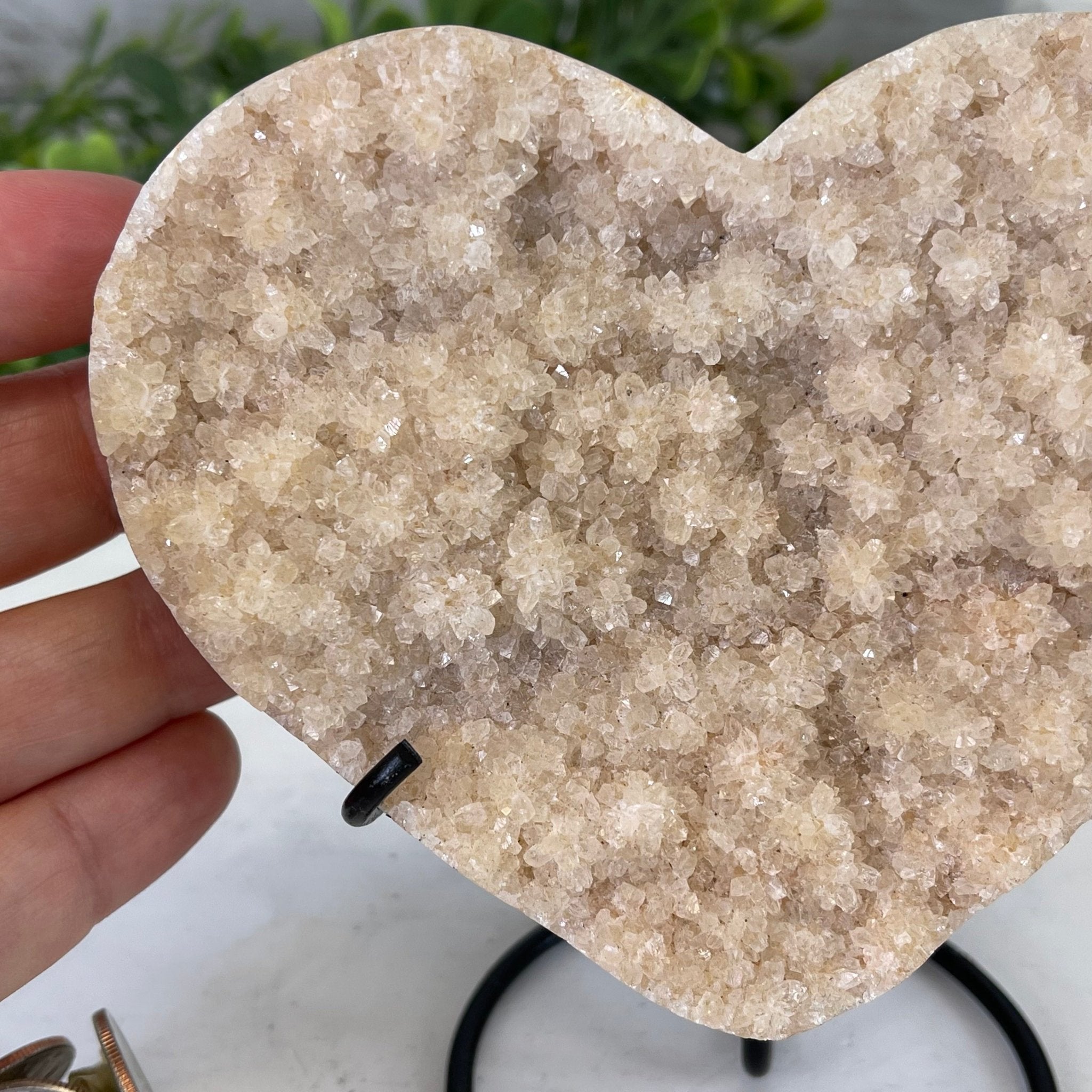 Standard Plus Quality Citrine Heart Geode, metal stand, 1 lbs & 5" Tall Model #5465-0015 by Brazil Gems - Brazil GemsBrazil GemsStandard Plus Quality Citrine Heart Geode, metal stand, 1 lbs & 5" Tall Model #5465-0015 by Brazil GemsHearts5465-0015