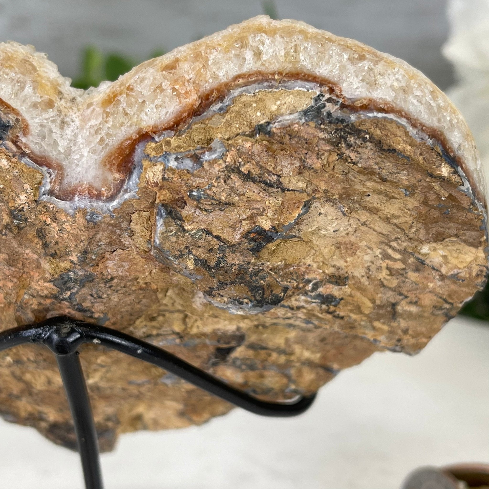 Standard Plus Quality Citrine Heart Geode, metal stand, 1 lbs & 5" Tall Model #5465-0015 by Brazil Gems - Brazil GemsBrazil GemsStandard Plus Quality Citrine Heart Geode, metal stand, 1 lbs & 5" Tall Model #5465-0015 by Brazil GemsHearts5465-0015