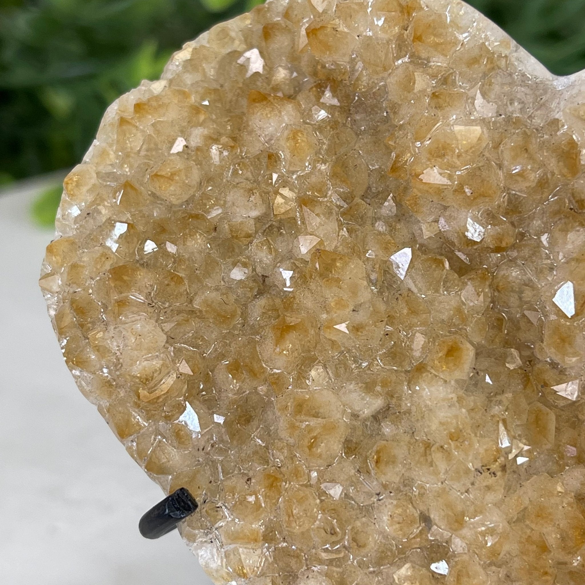 Standard Plus Quality Citrine Heart Geode, metal stand, 1.1 lbs & 4.5" Tall Model #5465-0017 by Brazil Gems - Brazil GemsBrazil GemsStandard Plus Quality Citrine Heart Geode, metal stand, 1.1 lbs & 4.5" Tall Model #5465-0017 by Brazil GemsHearts5465-0017