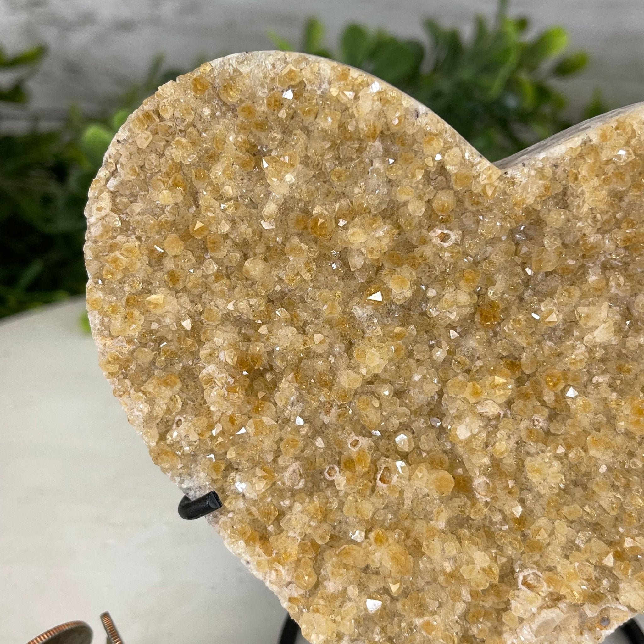 Standard Plus Quality Citrine Heart Geode, metal stand, 1.2 lbs & 5" Tall Model #5465-0021 by Brazil Gems - Brazil GemsBrazil GemsStandard Plus Quality Citrine Heart Geode, metal stand, 1.2 lbs & 5" Tall Model #5465-0021 by Brazil GemsHearts5465-0021