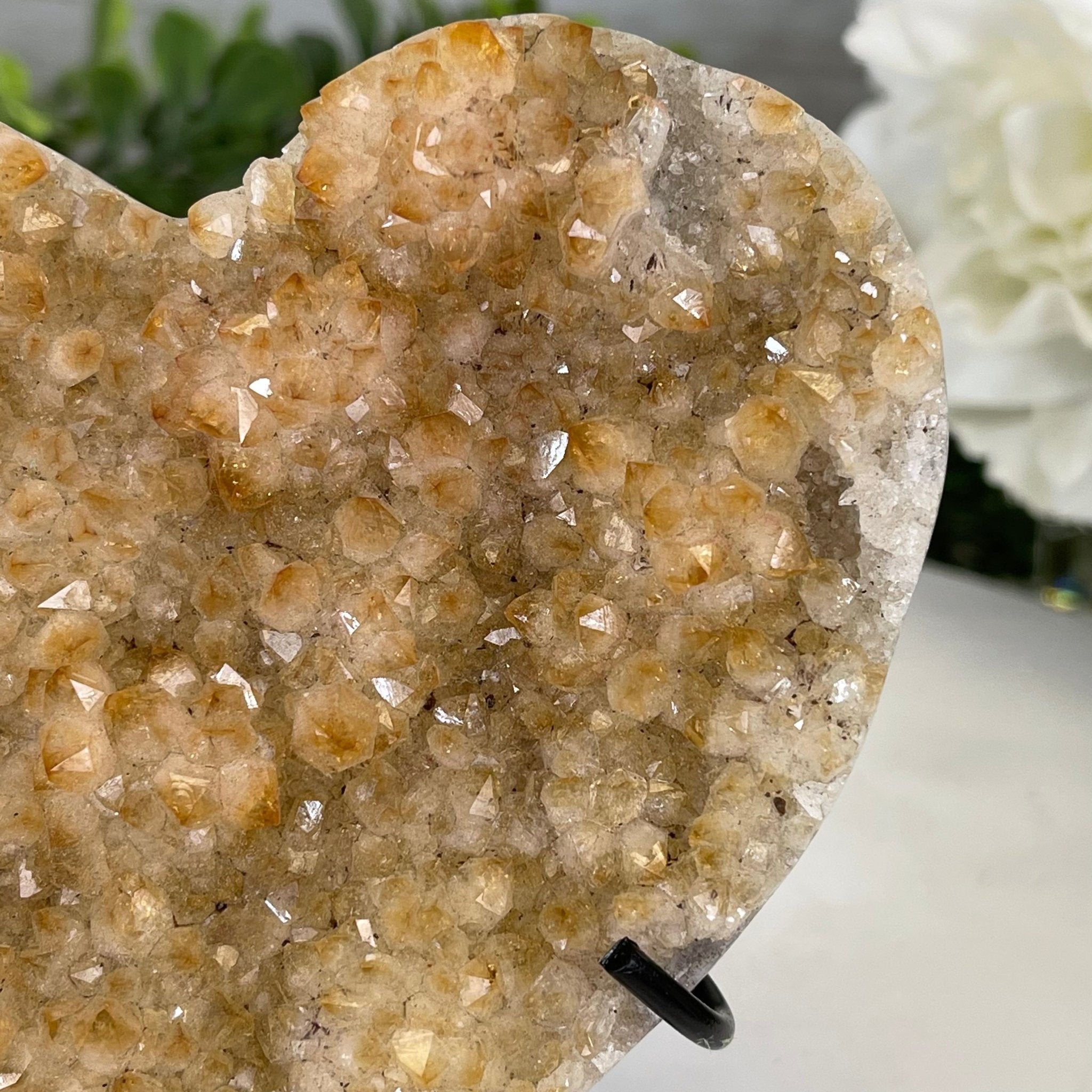 Standard Plus Quality Citrine Heart Geode, metal stand, 1.2 lbs & 5.5" Tall Model #5465-0022 by Brazil Gems - Brazil GemsBrazil GemsStandard Plus Quality Citrine Heart Geode, metal stand, 1.2 lbs & 5.5" Tall Model #5465-0022 by Brazil GemsHearts5465-0022